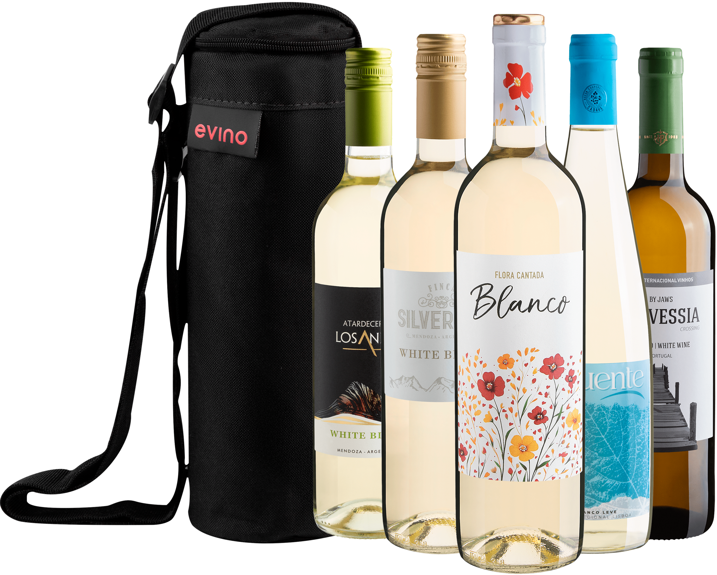 Kit 5 Vinhos Brancos + Bolsa Exclusiva