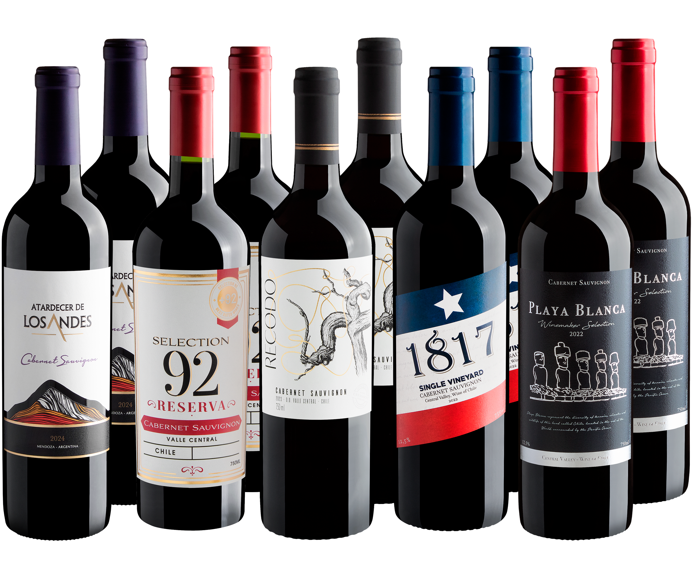 Kit Cabernet Sauvignon em Dobro | 10 garrafas por R$27,90 cada