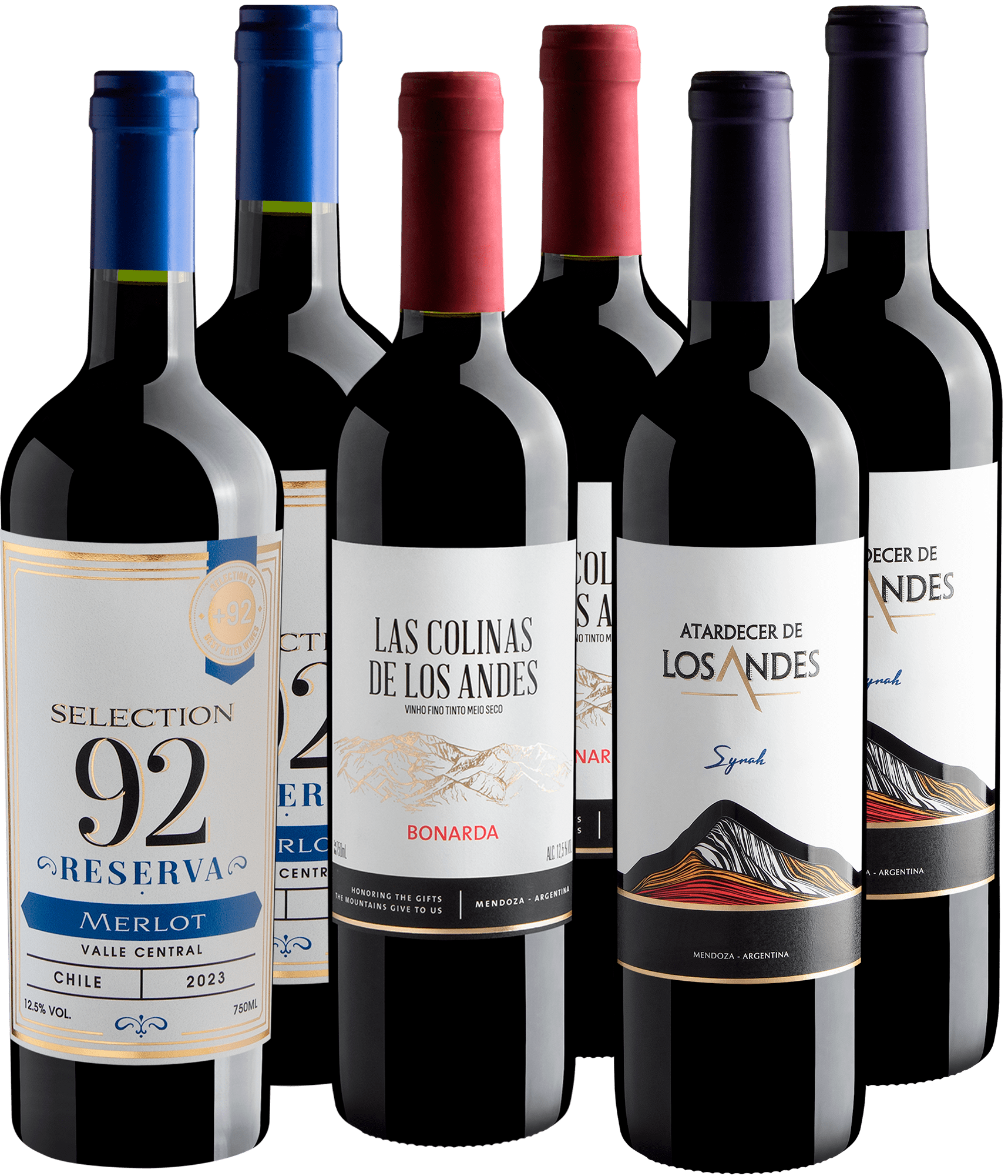 Kit Varietais em Dobro | 6 garrafas por R$32,90 cada