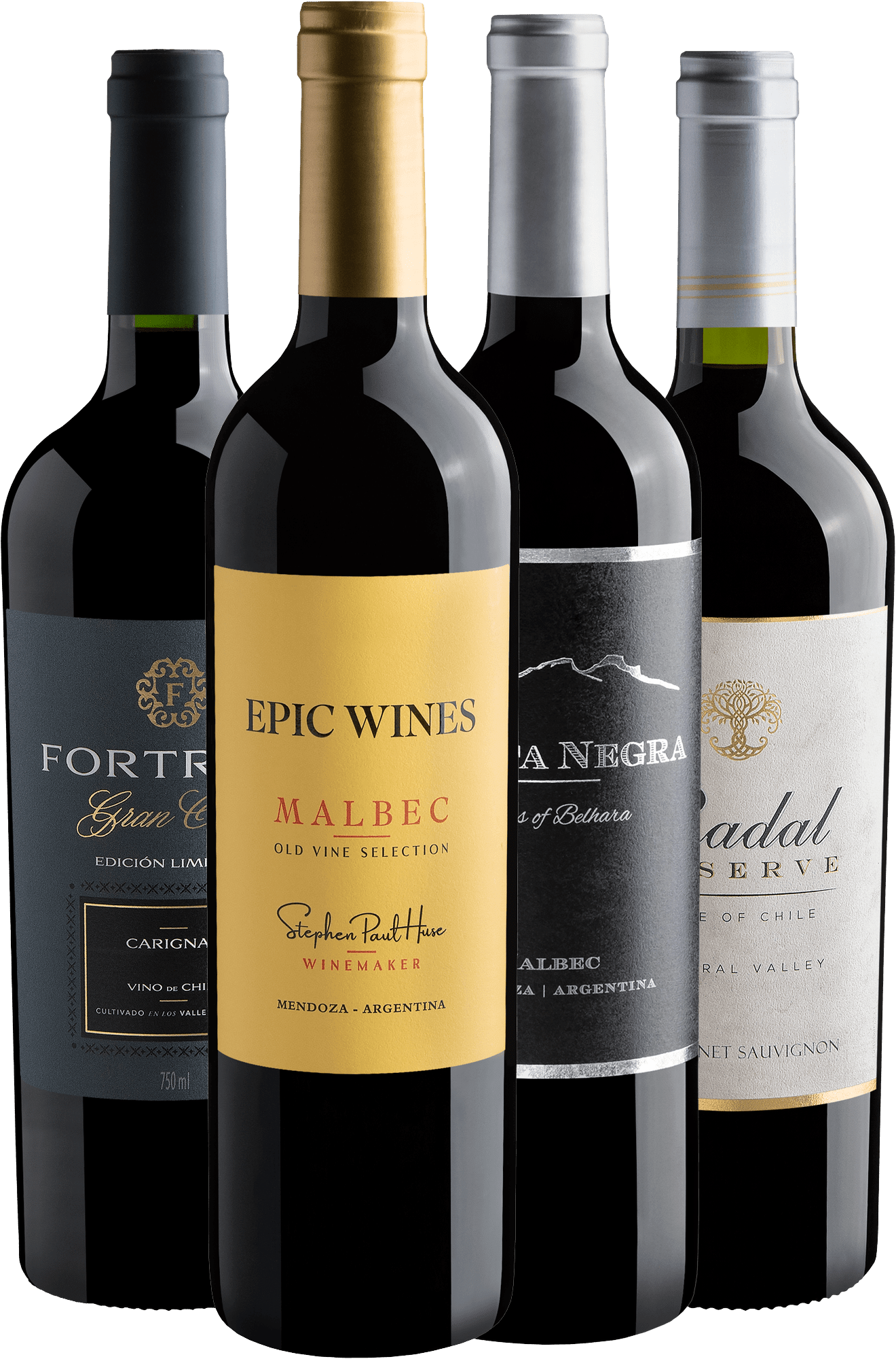 Kit 4 Vinhos do Novo Mundo