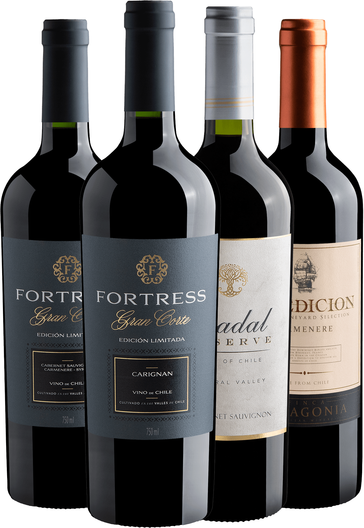 Kit 4 Vinhos Chilenos