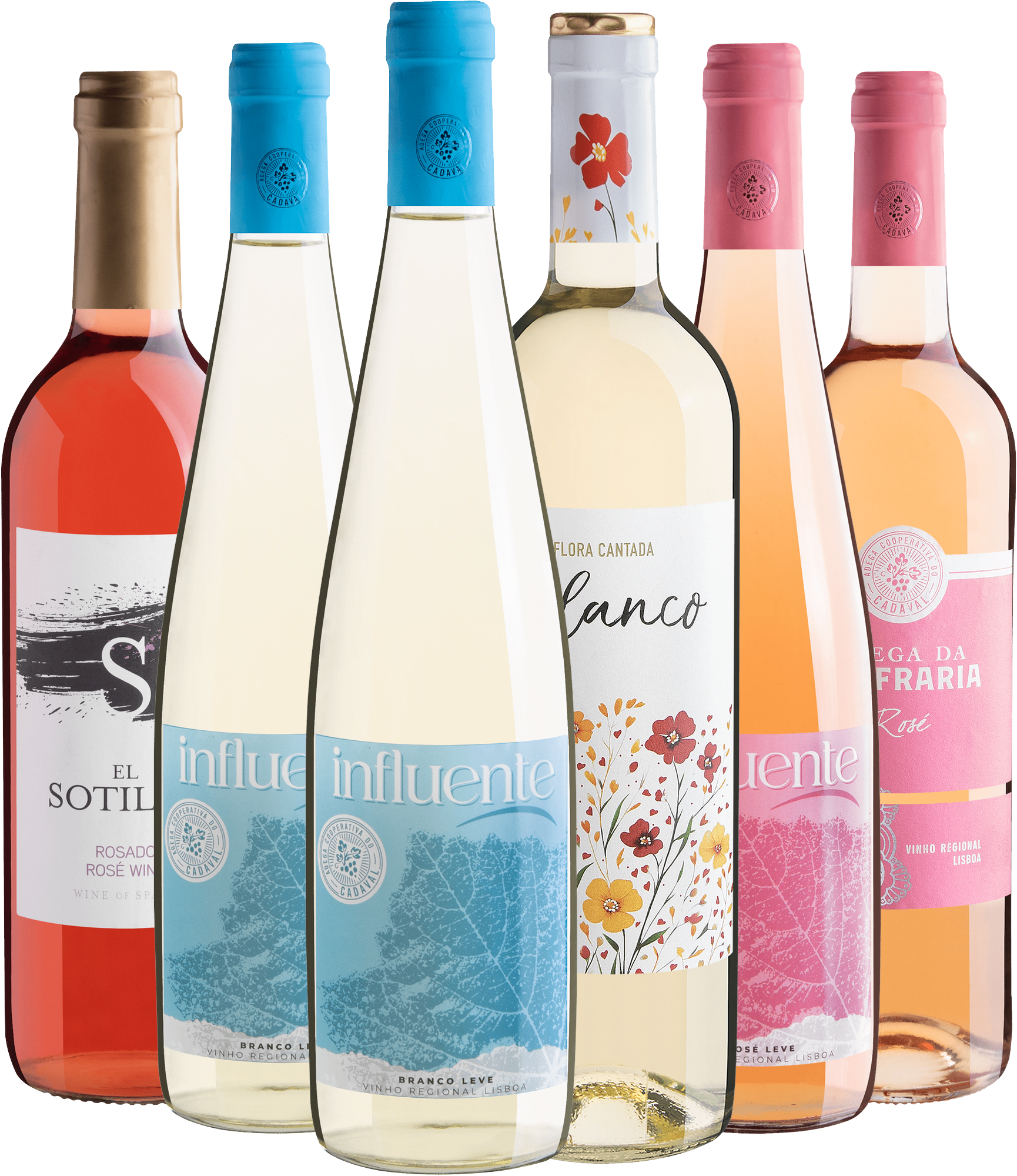 Kit 6 Vinhos Refrescantes
