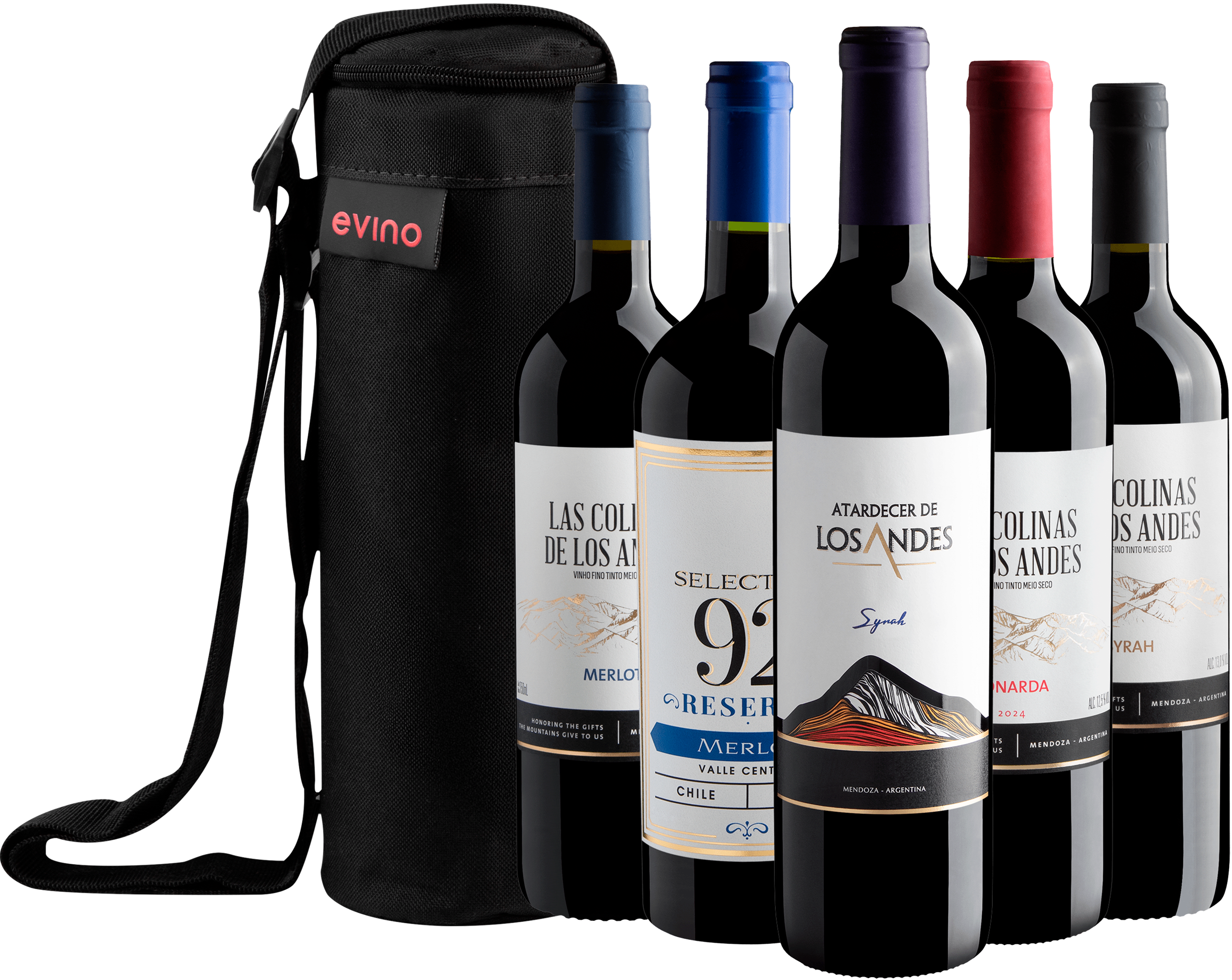 Kit 5 Vinhos Uvas Emblemáticas + Bolsa Exclusiva