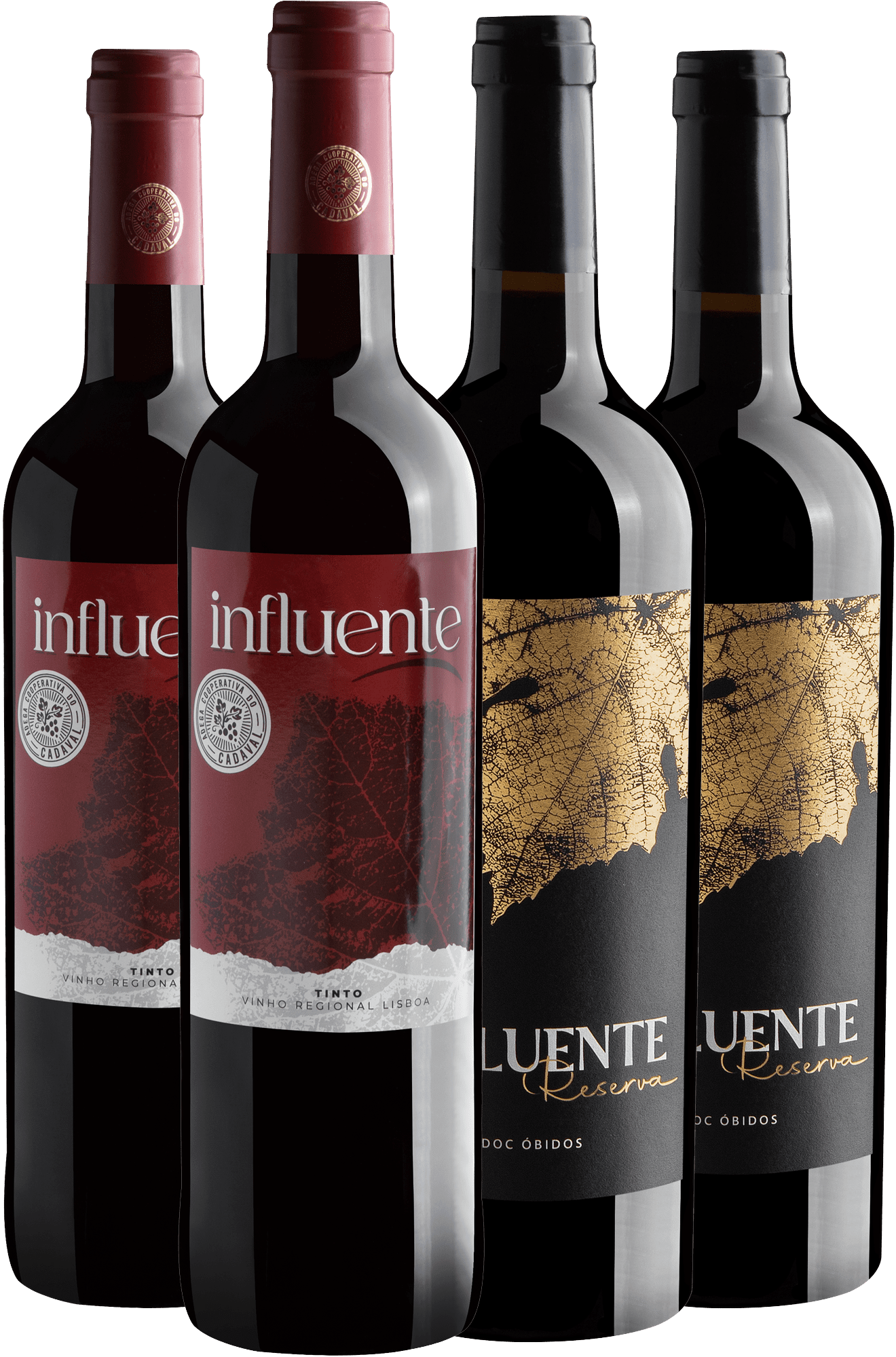 Kit Família Influente: 2 Tinto + 2 Reserva 