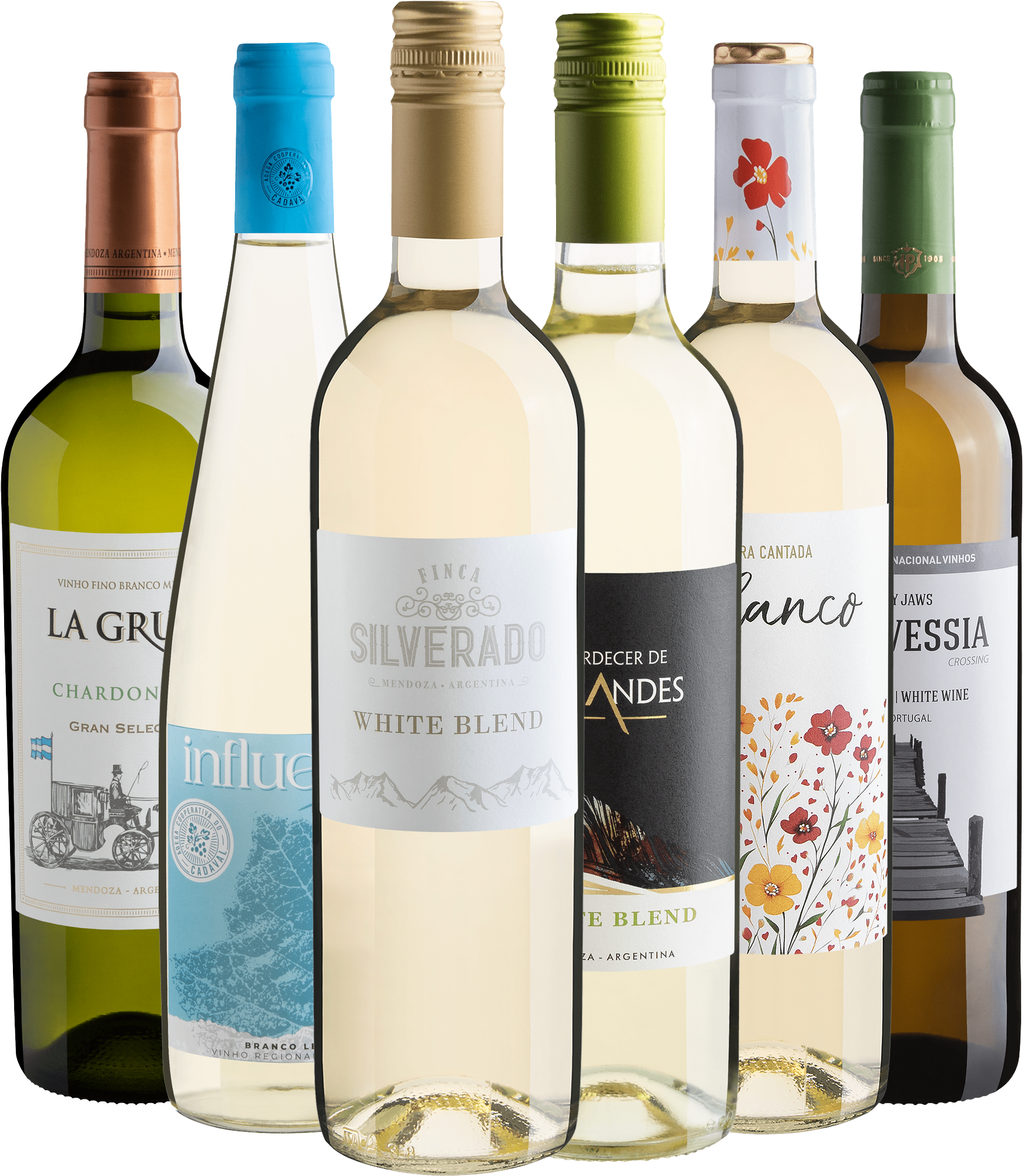 Kit 6 Vinhos Brancos por R$28,90 cada garrafa