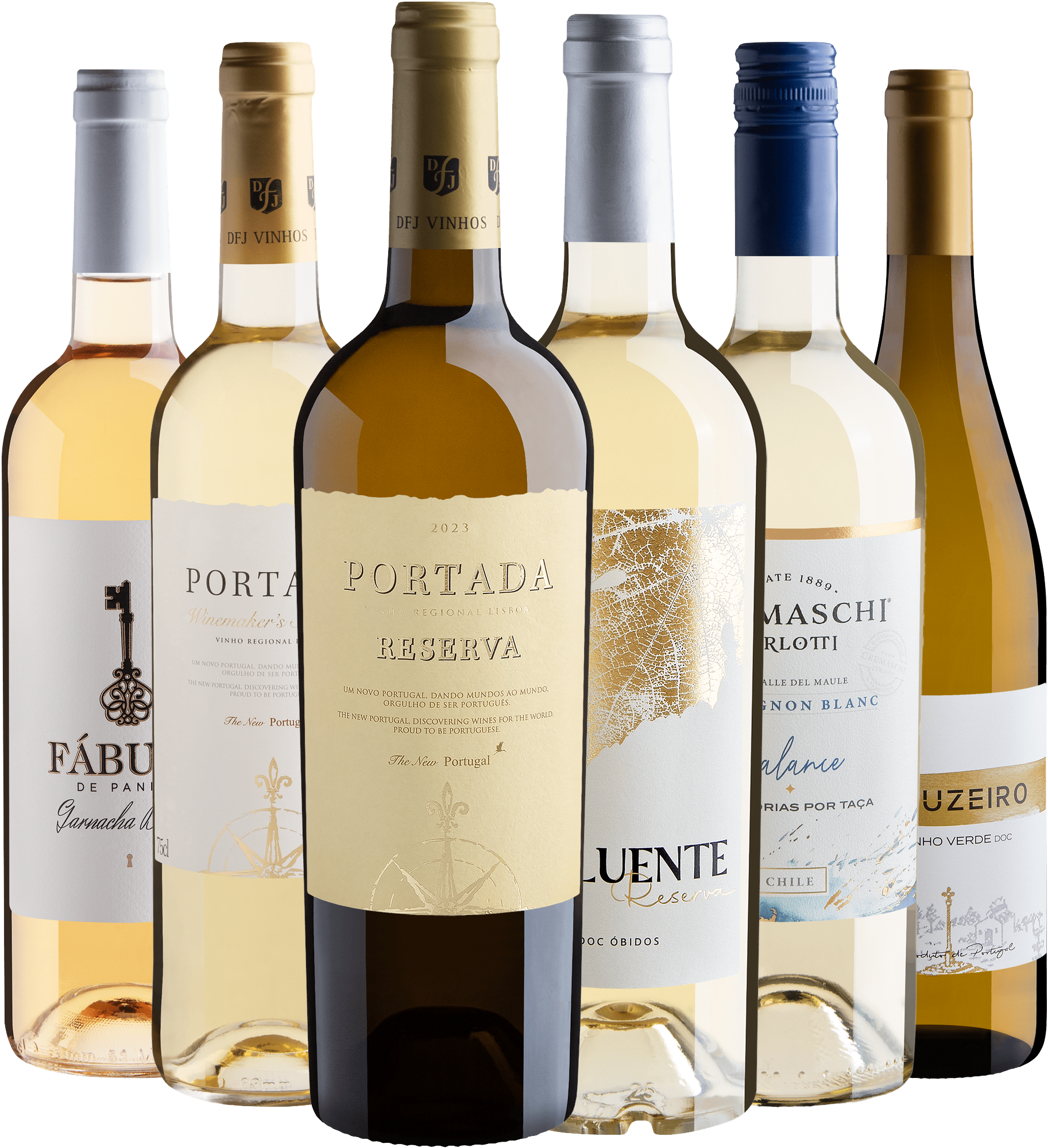 Kit 6 Vinhos Brancos Best Sellers 