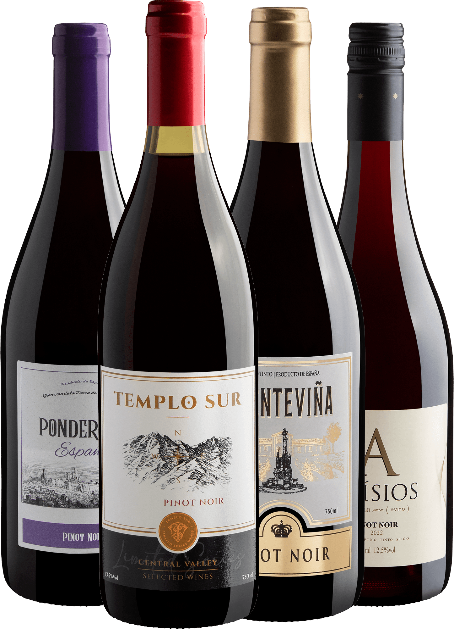 Kit 4 Pinots Noirs