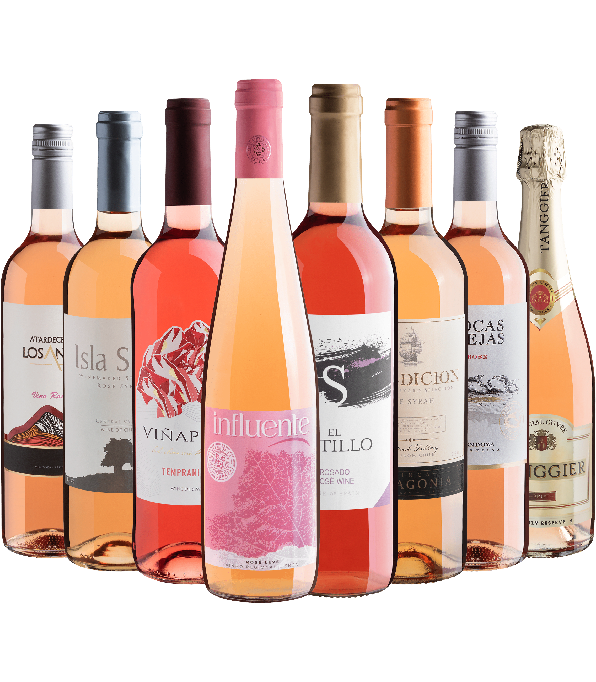 Kit 8 Vinhos Rosés com Espumante Tanggier Brut Rosé 