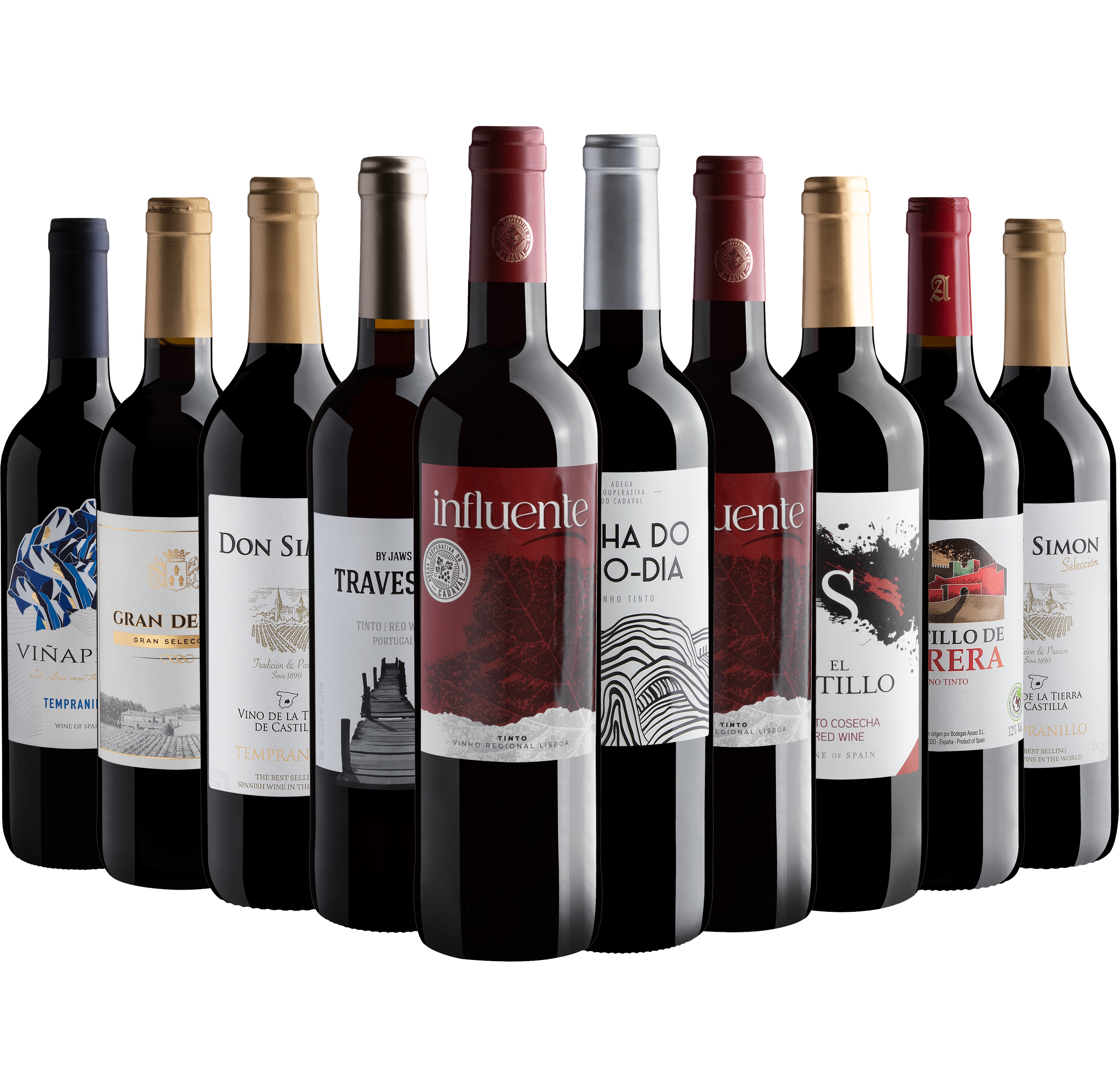Kit 10 Vinhos Tintos do Velho Mundo