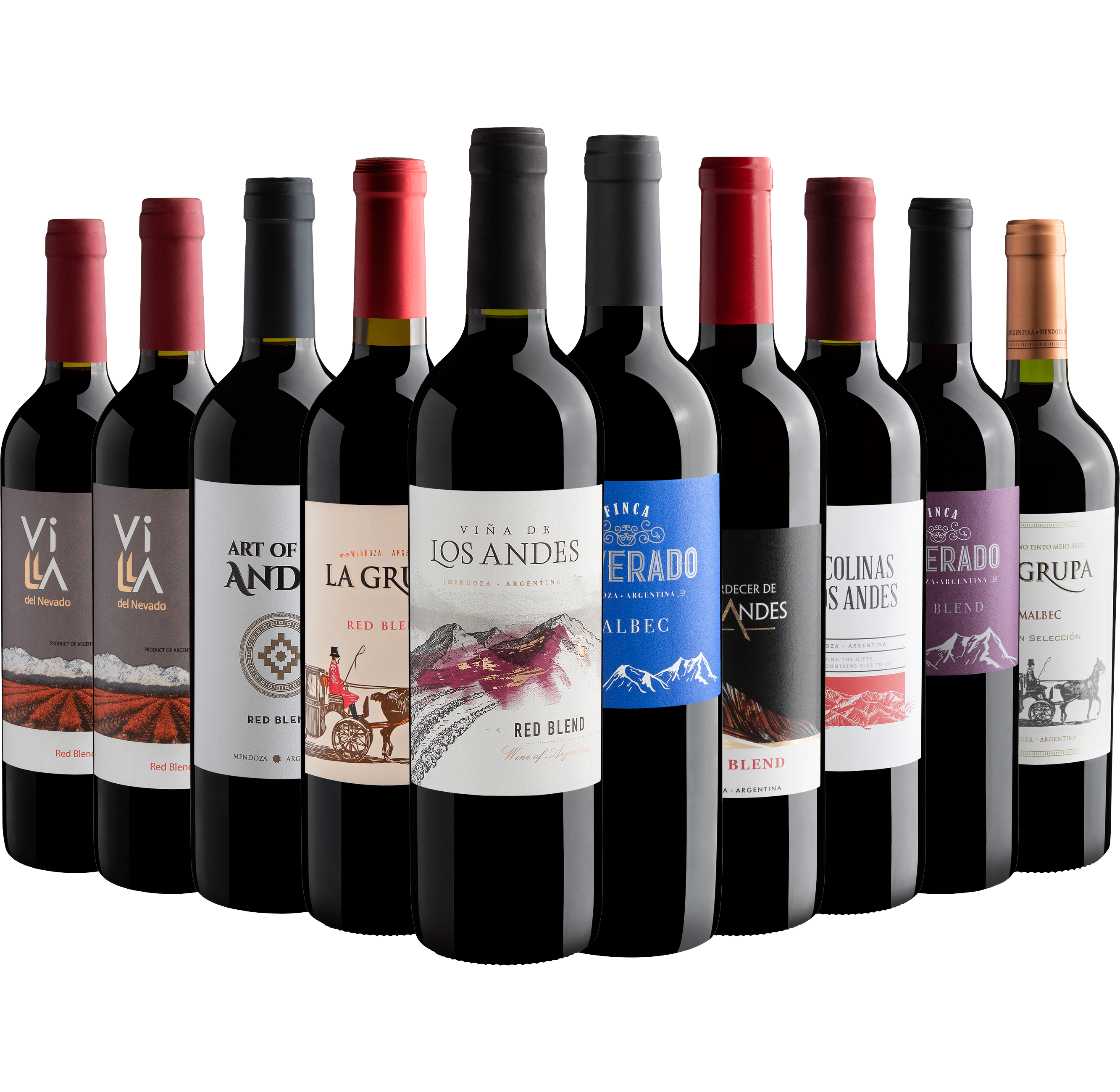 Kit 10 Vinhos Argentinos