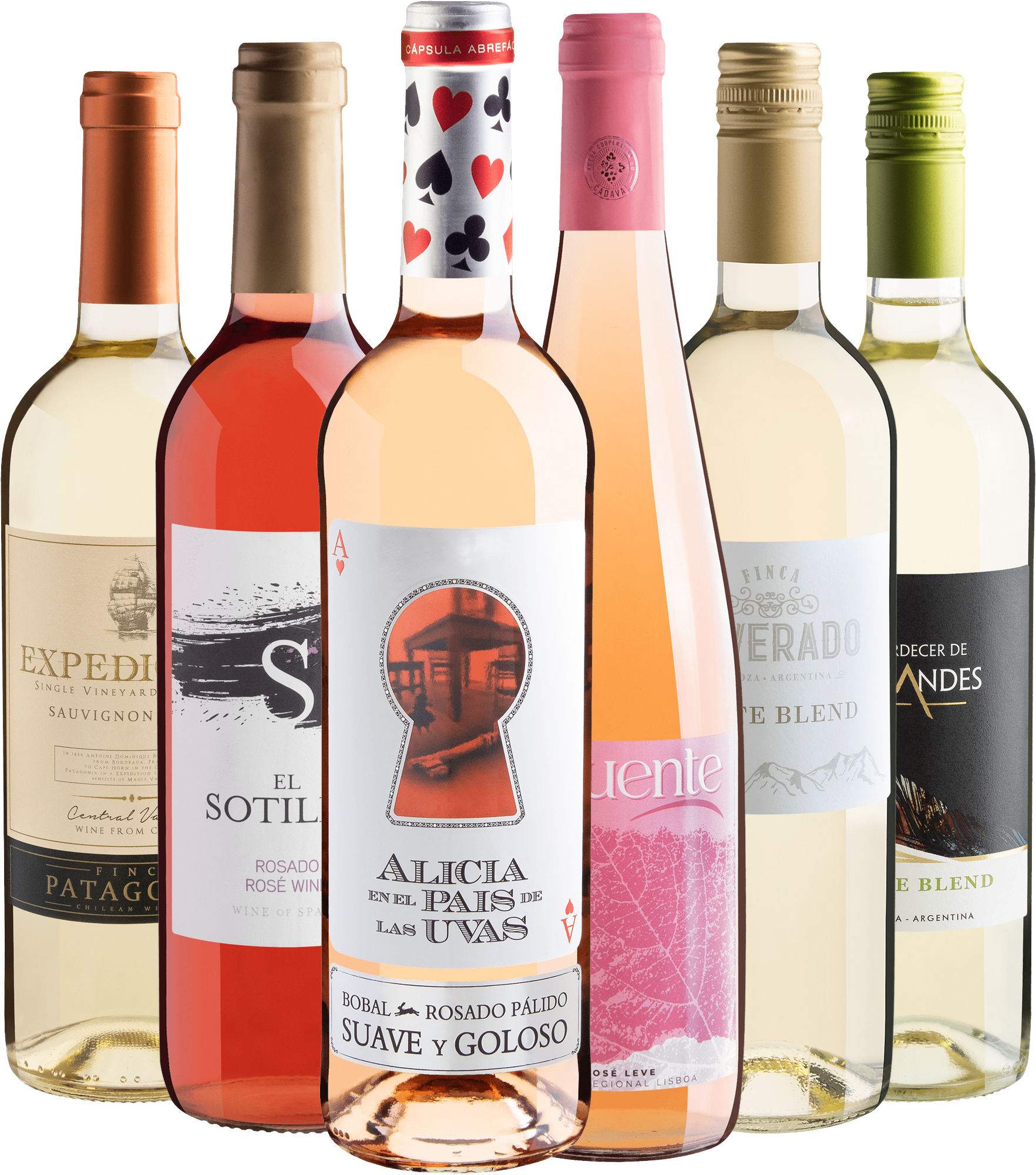Kit 6 Vinhos Refrescantes com Alicia en el País de Las Uvas