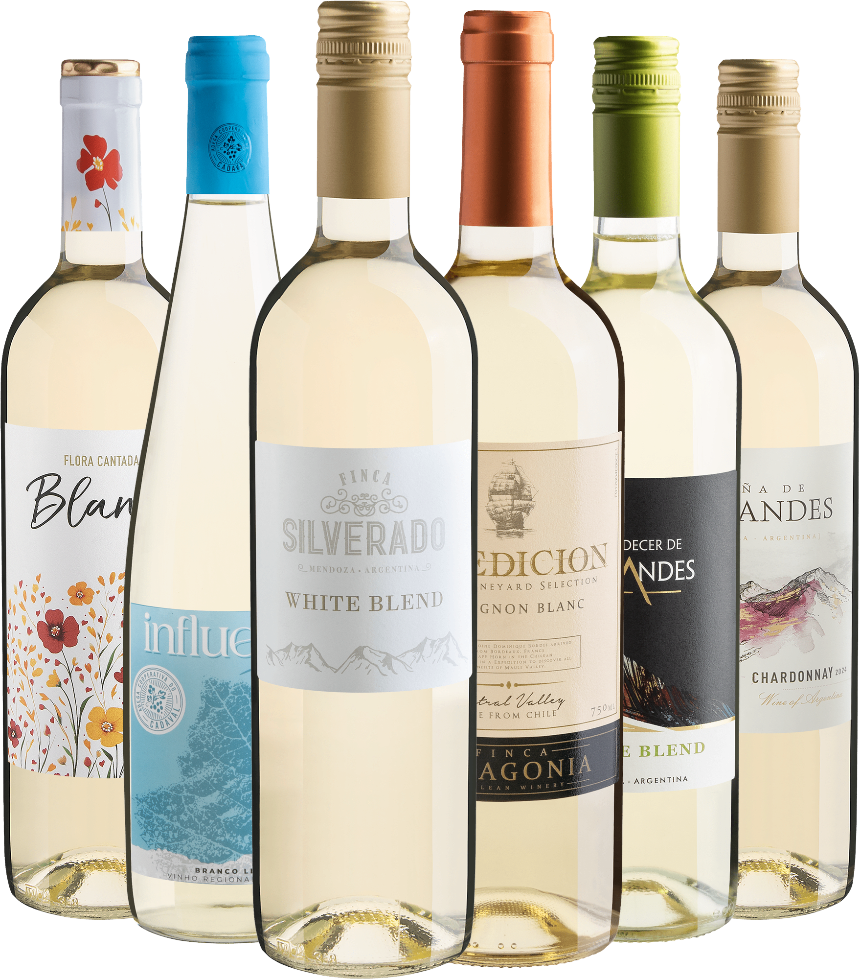 Kit 6 Vinhos Brancos por R$26,90 cada garrafa