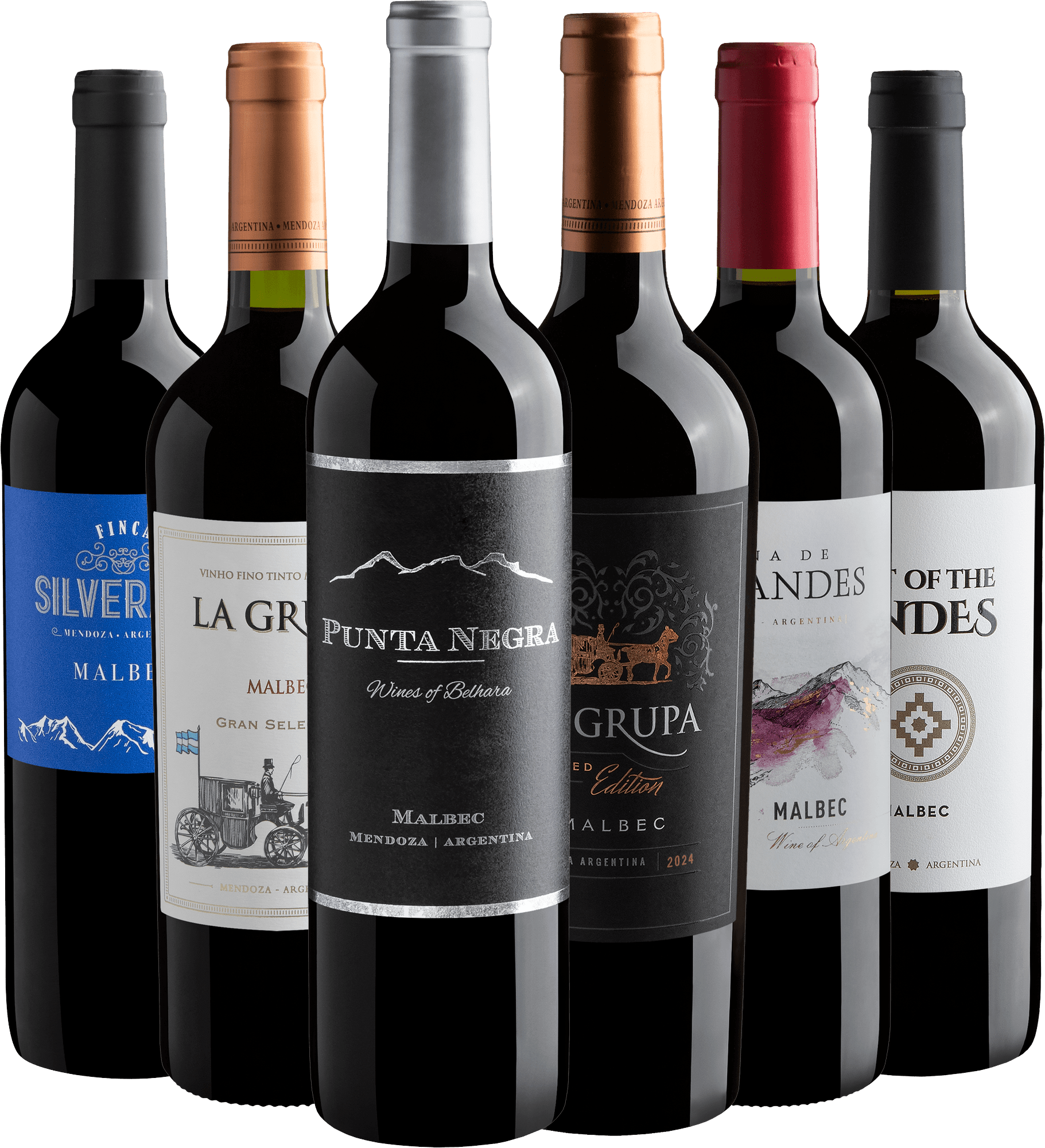 Kit 6 Malbecs Argentinos com Punta Negra