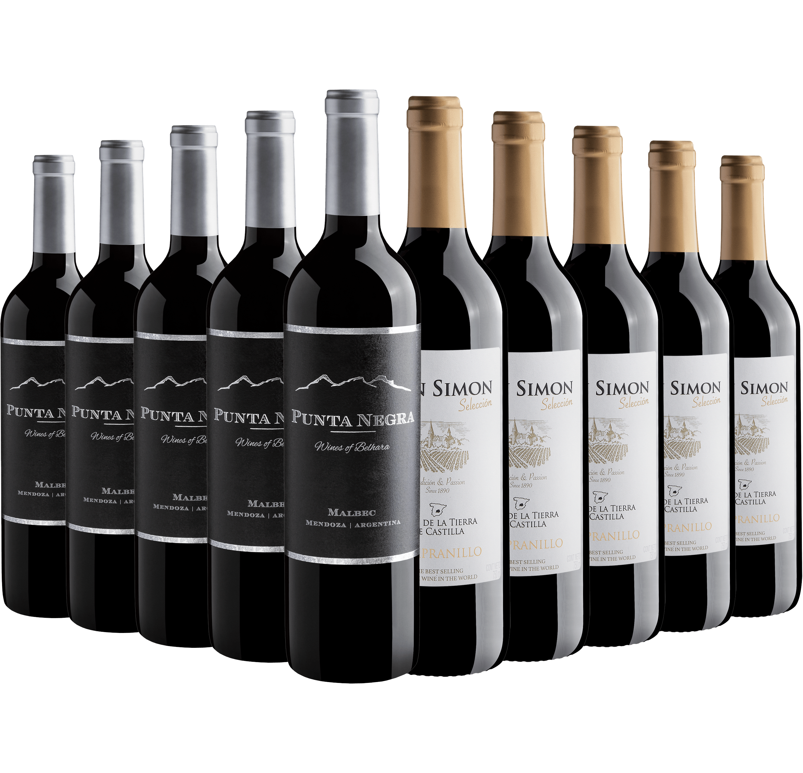 Kit 5 Punta Negra Wines of Belhara + 5 Don Simon Selección 