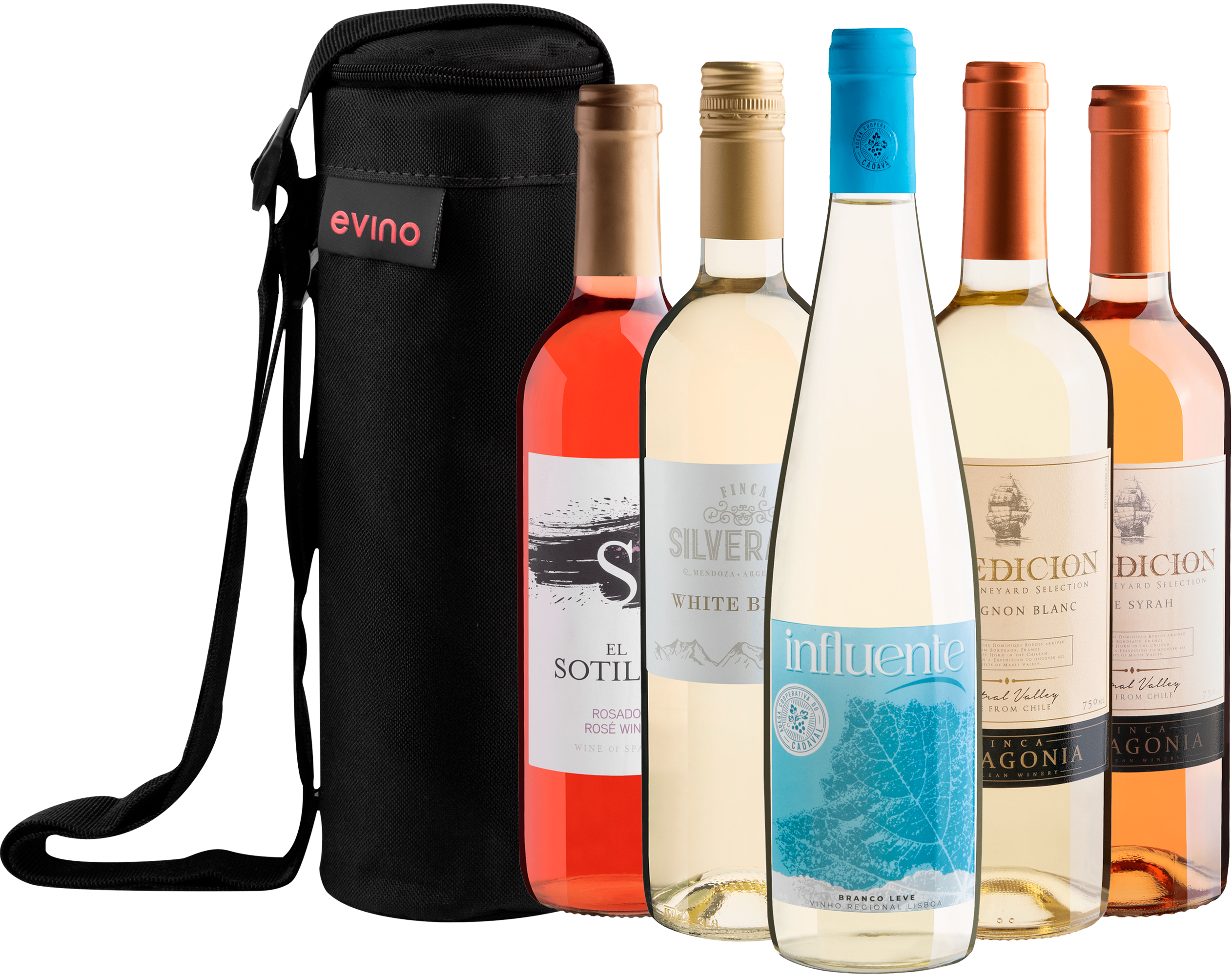 Kit 5 Vinhos Refrescantes + Bolsa Exclusiva