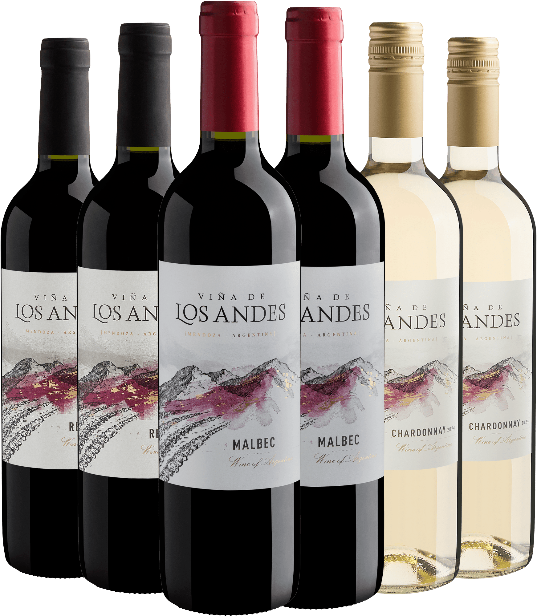 Kit Viña de Los Andes: 2 Malbec + 2 Red Blend + 2 Chardonnay