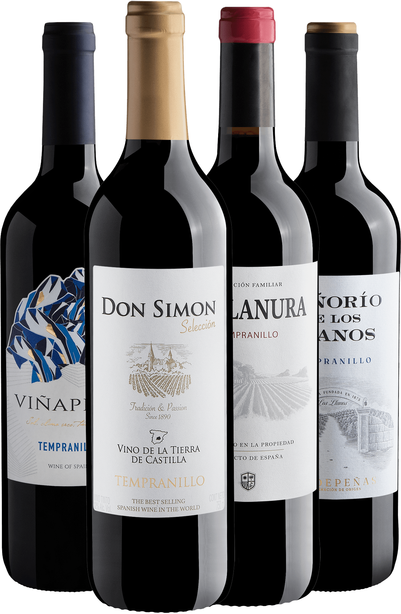 Kit 4 Tempranillos Espanhóis 