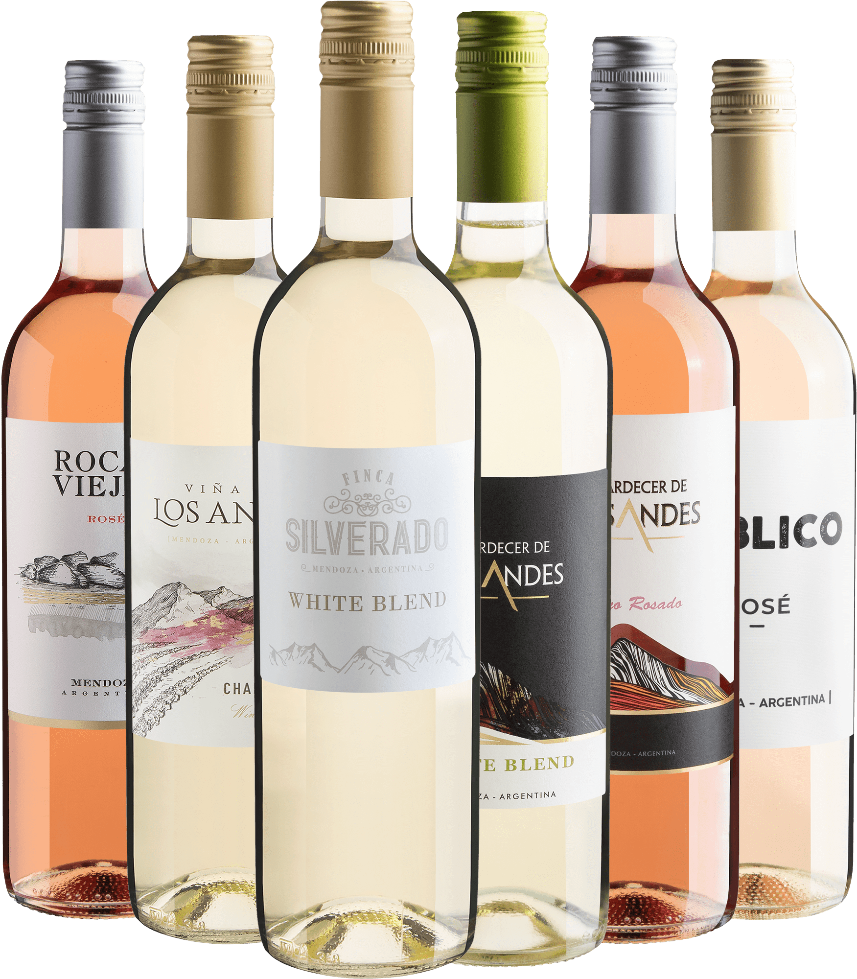 Kit 6 Vinhos Argentinos Refrescantes 
