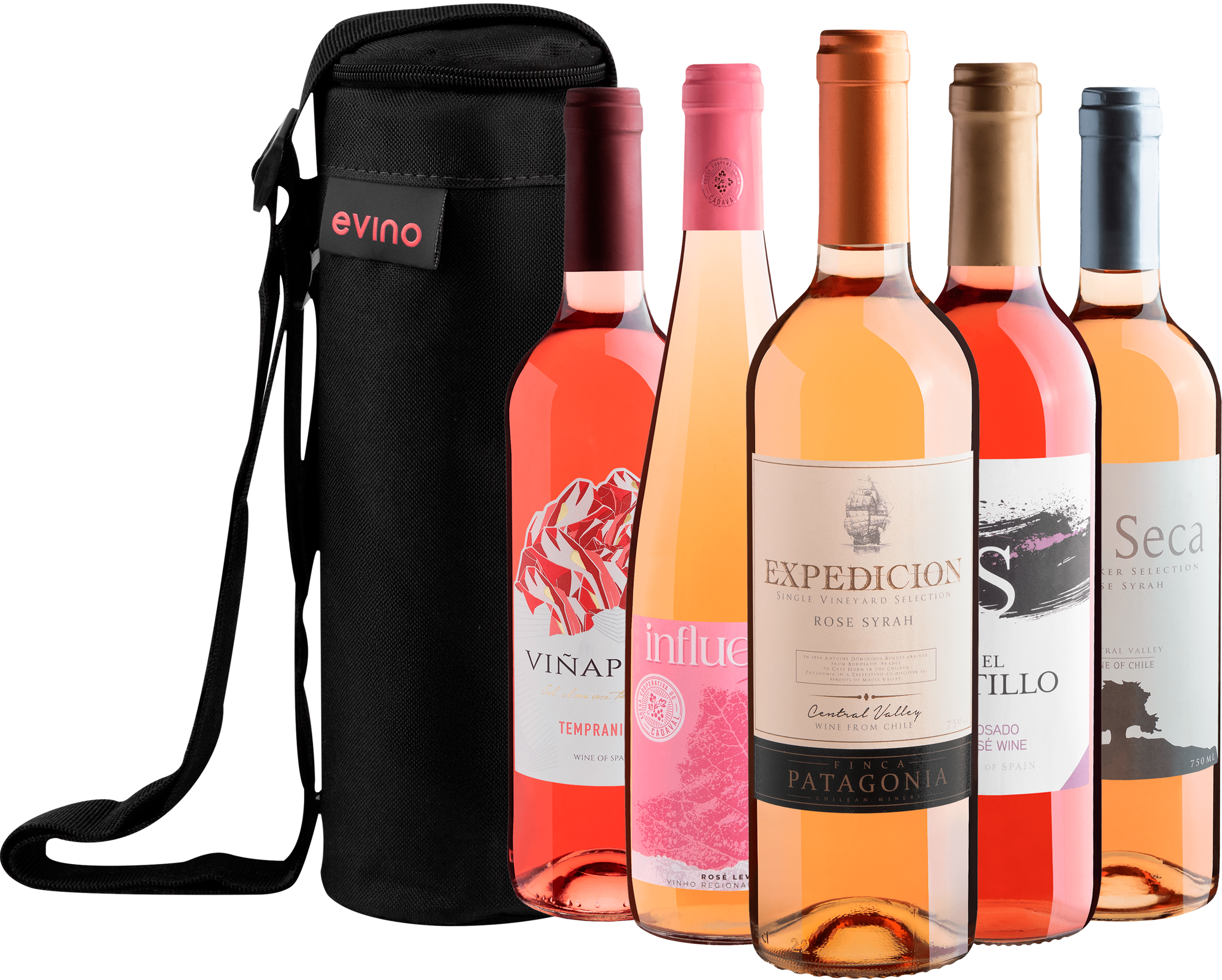 Kit 5 Vinhos Rosés + Bolsa Exclusiva