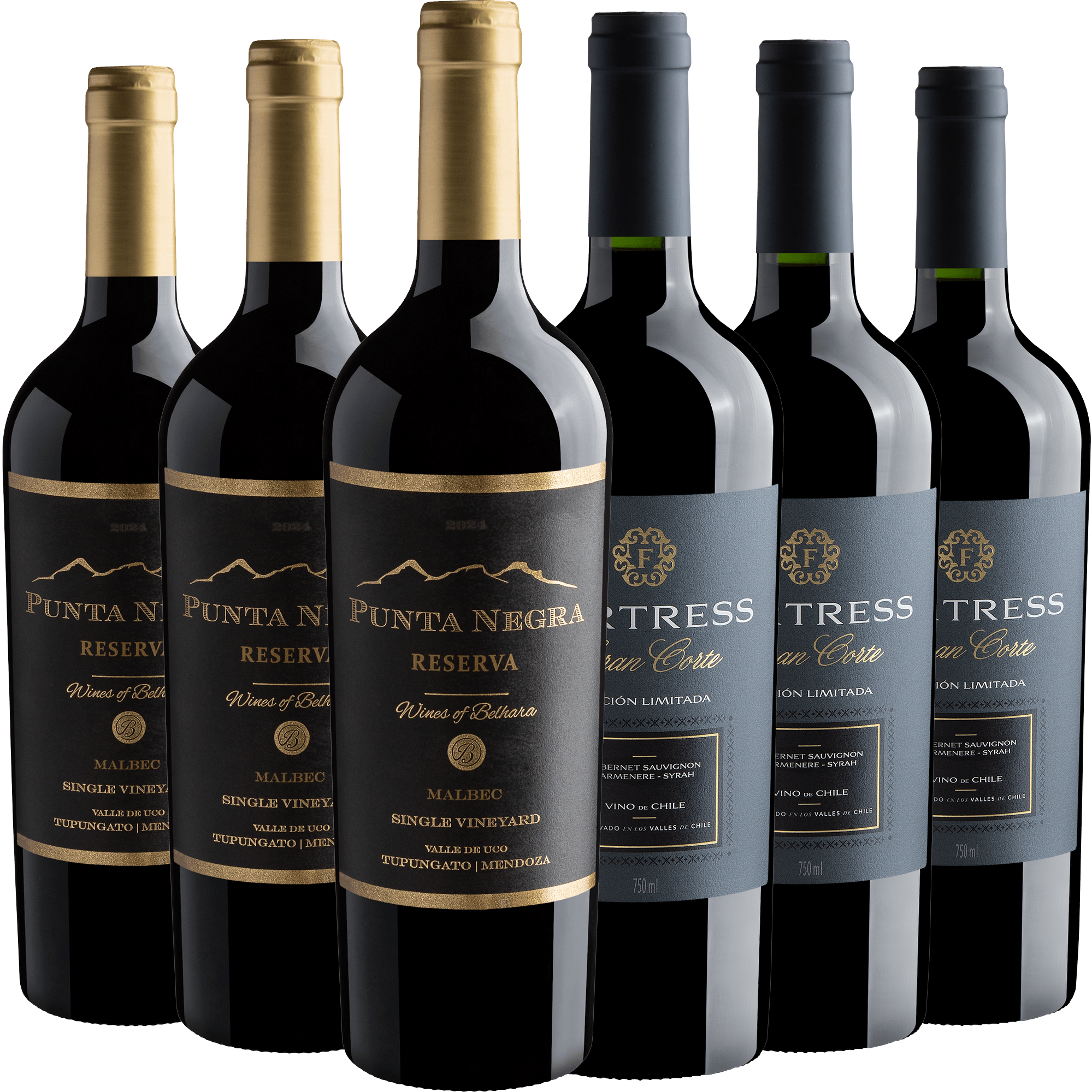 Kit 3 Punta Negra Reserva Malbec + 3 Fortress Edición Limitada Cabernet Sauvignon - Carmenere - Syrah