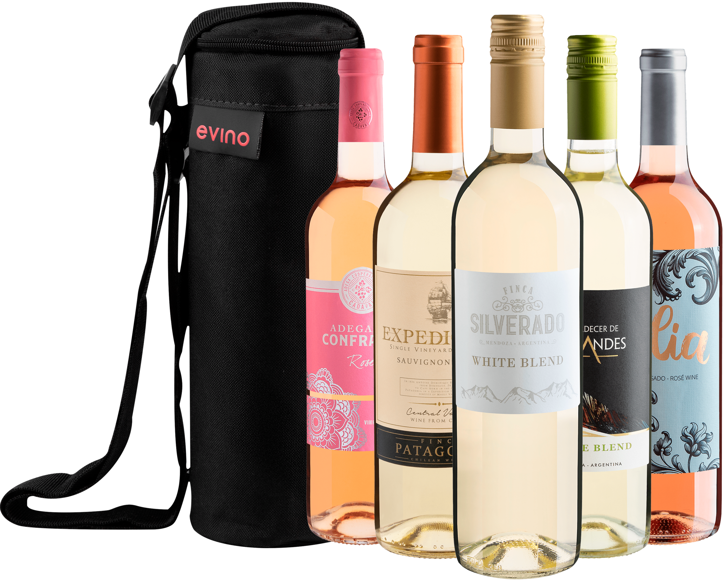 Kit 5 Vinhos Refrescantes + Bolsa Exclusiva 