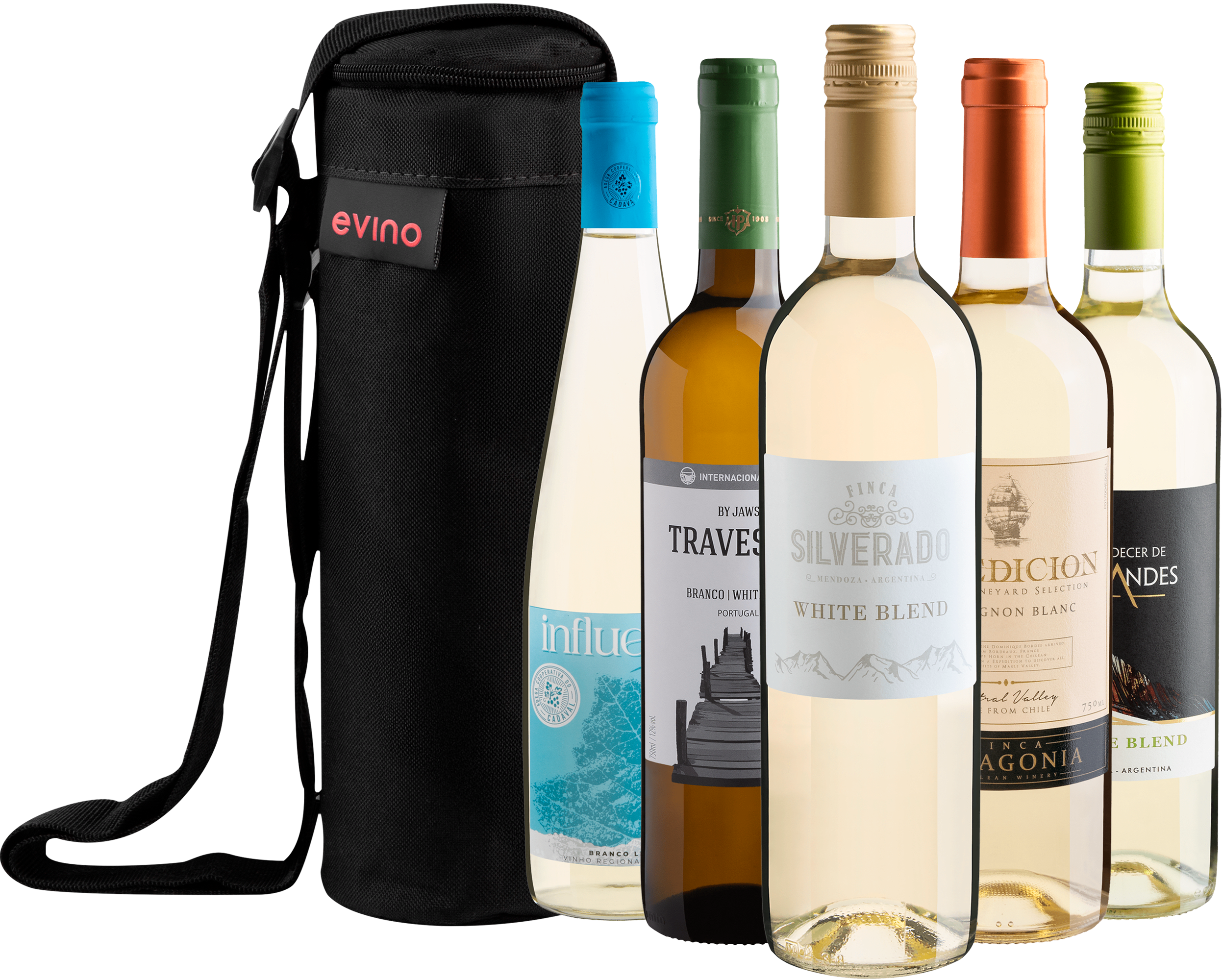 Kit 5 Vinhos Brancos + Bolsa Exclusiva  