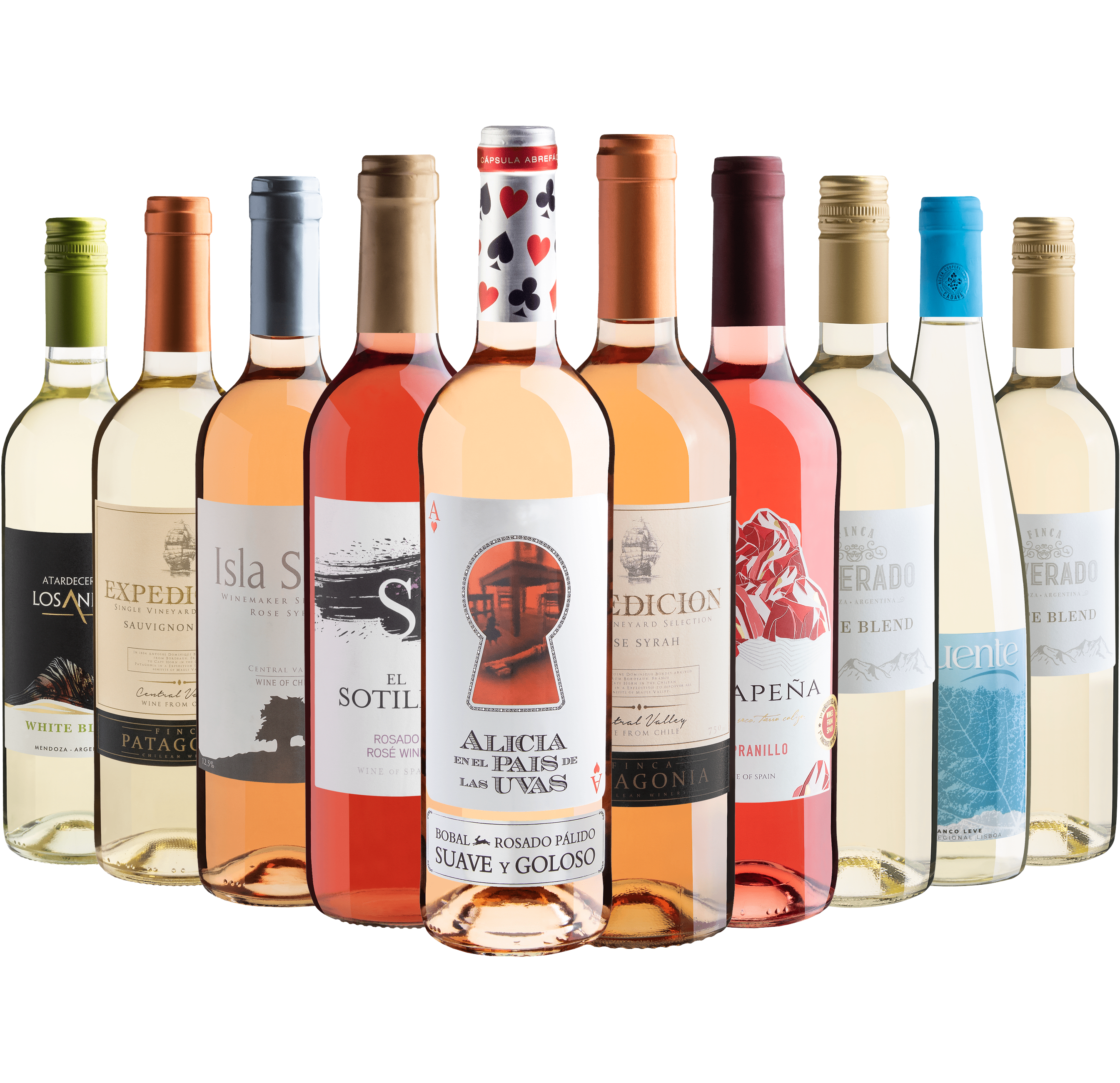 Kit 10 Vinhos Refrescantes com Alicia en el Pais de Las Uvas  Vários Países