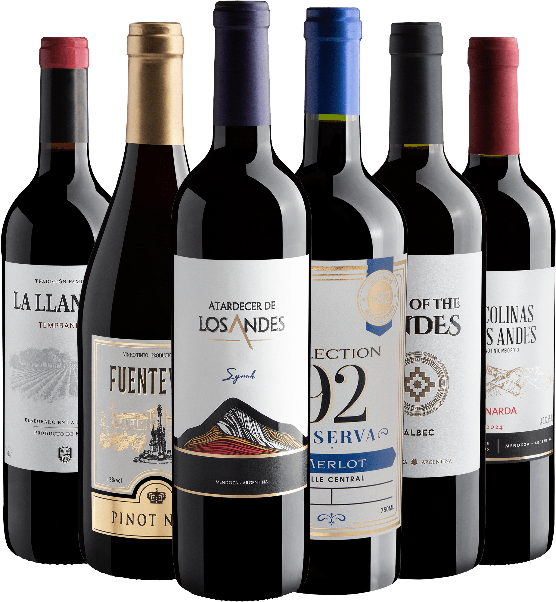 Kit 6 Vinhos de Uvas Icônicas  