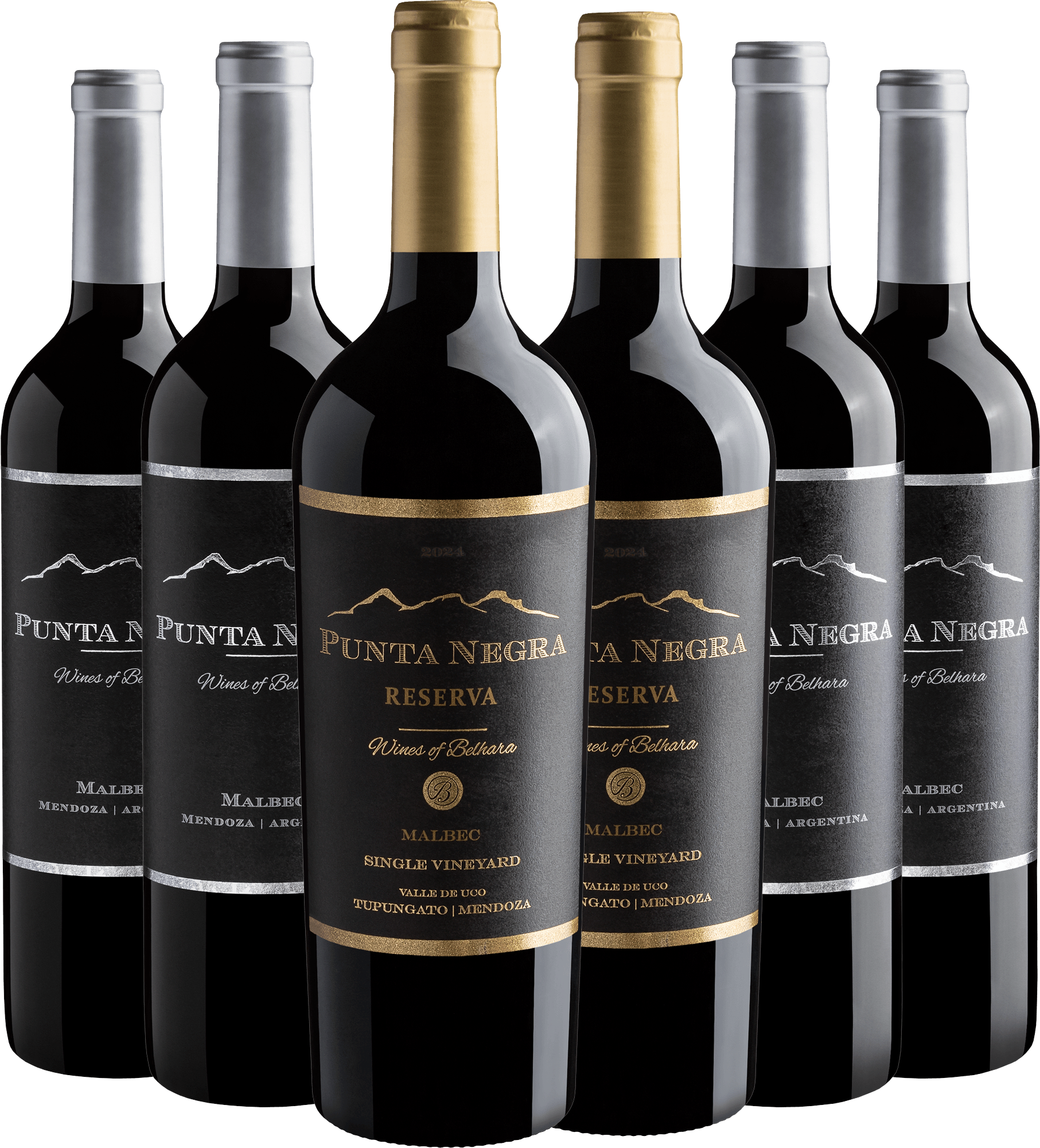 Kit Punta Negra Malbec: 2 Reserva + 4 Wines of Belhara