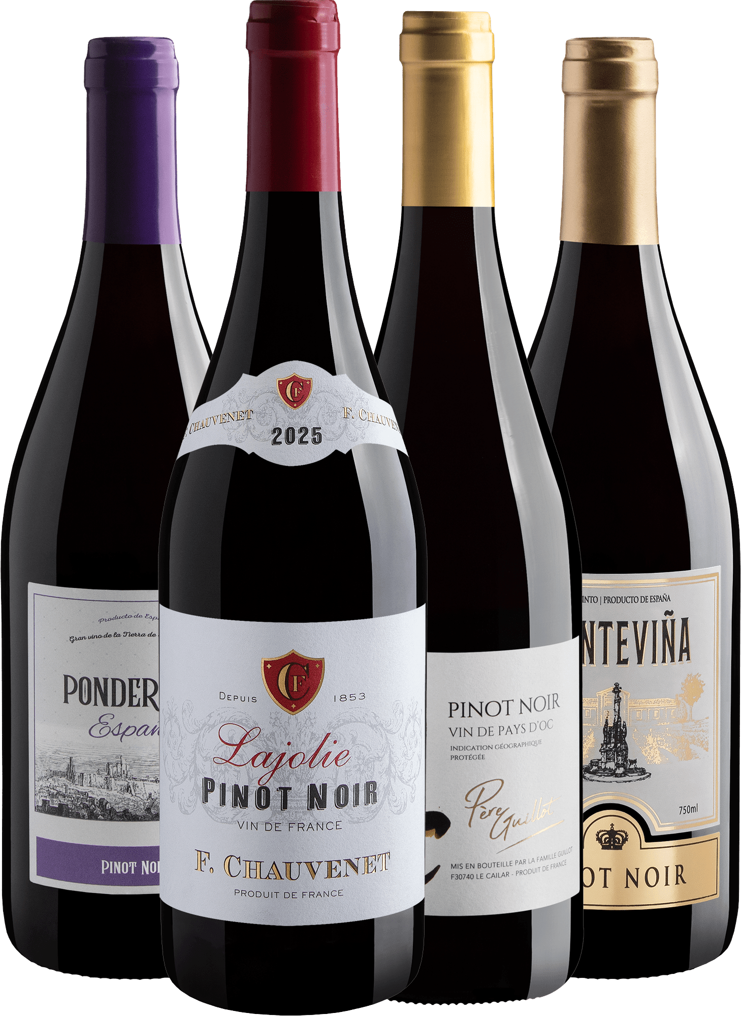 Kit 4 Pinot Noirs do Velho Mundo