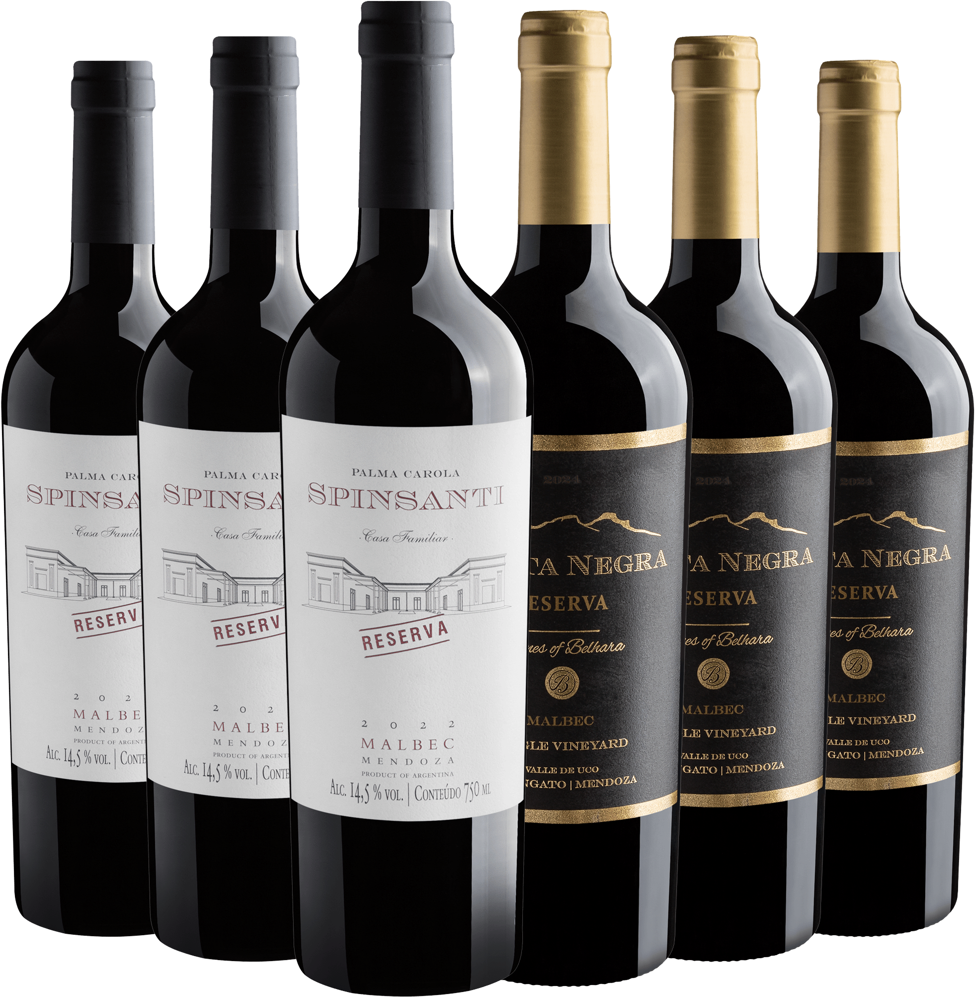 Kit Reserva Malbec | 3 Palma Carola  + 3 Punta Negra 