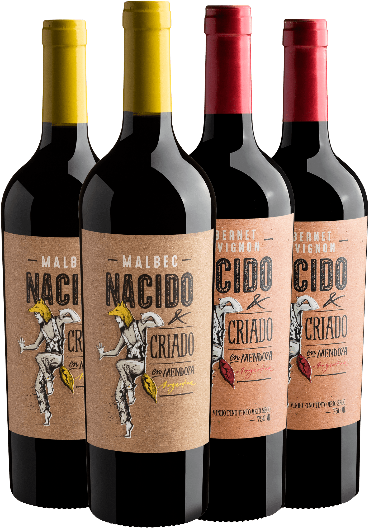 Kit Nacido & Criado en Mendoza: 2 Malbecs + 2 Cabernets Sauvignons