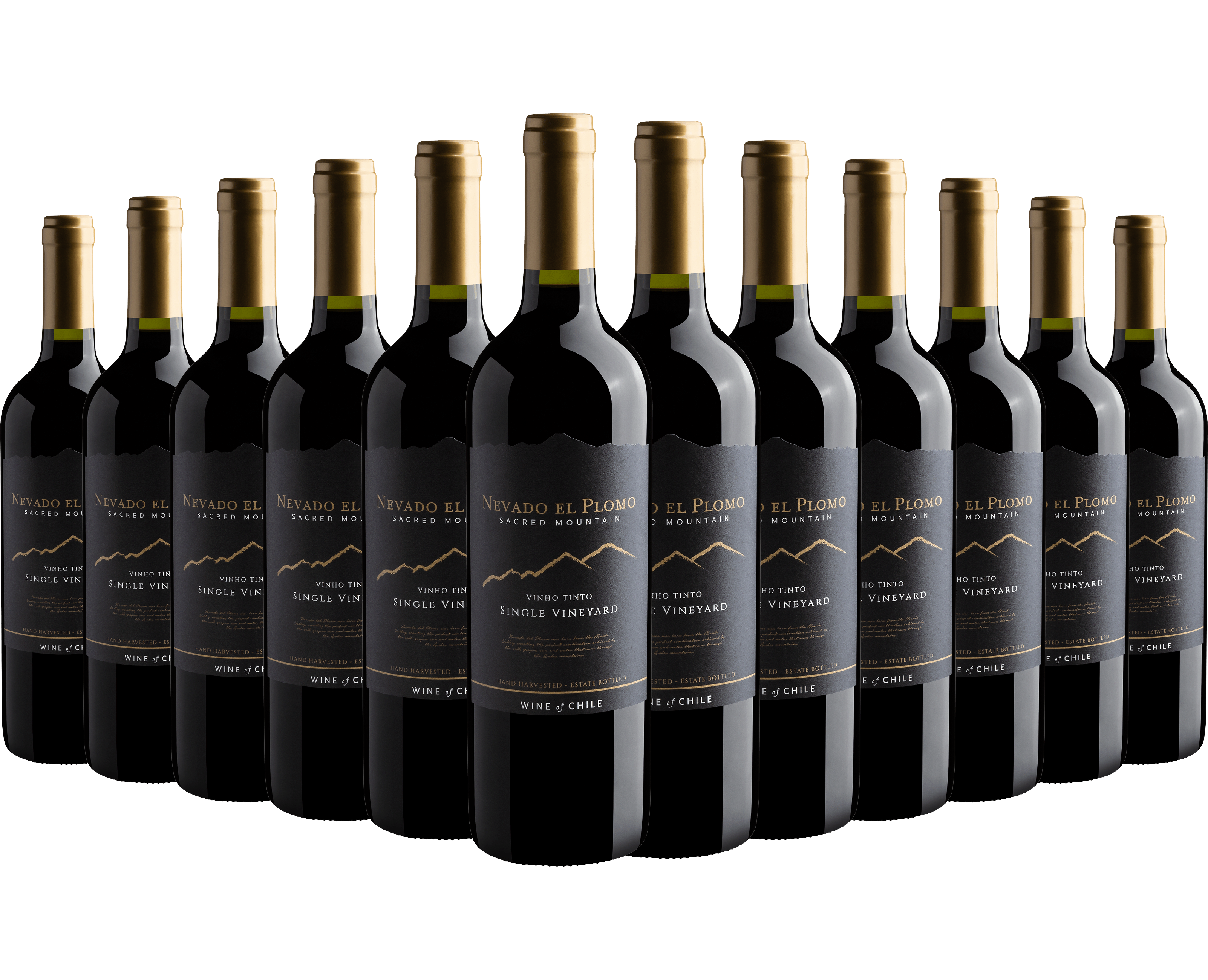 Kit 12 Nevado El Plomo Sacred Mountain Single Vineyard