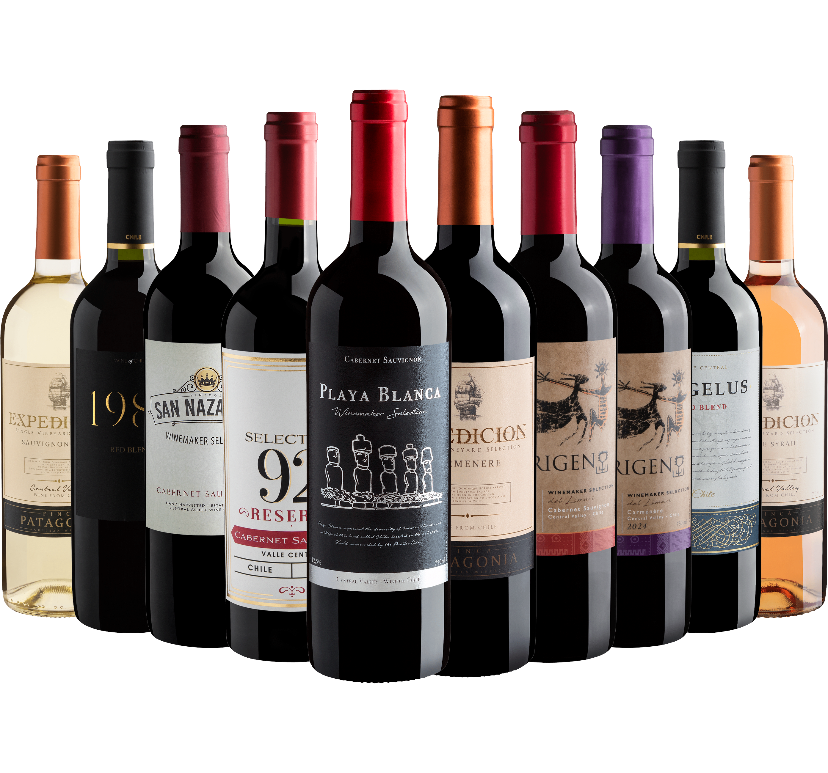 Kit 10 Vinhos Chilenos Best Sellers