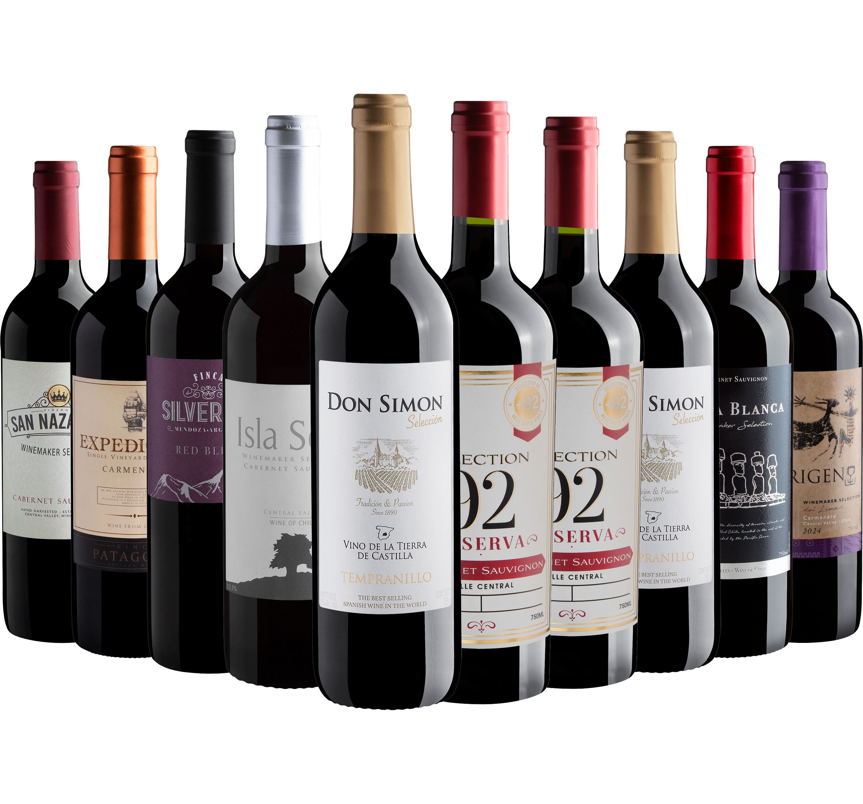 Kit 10 Vinhos Tintos 