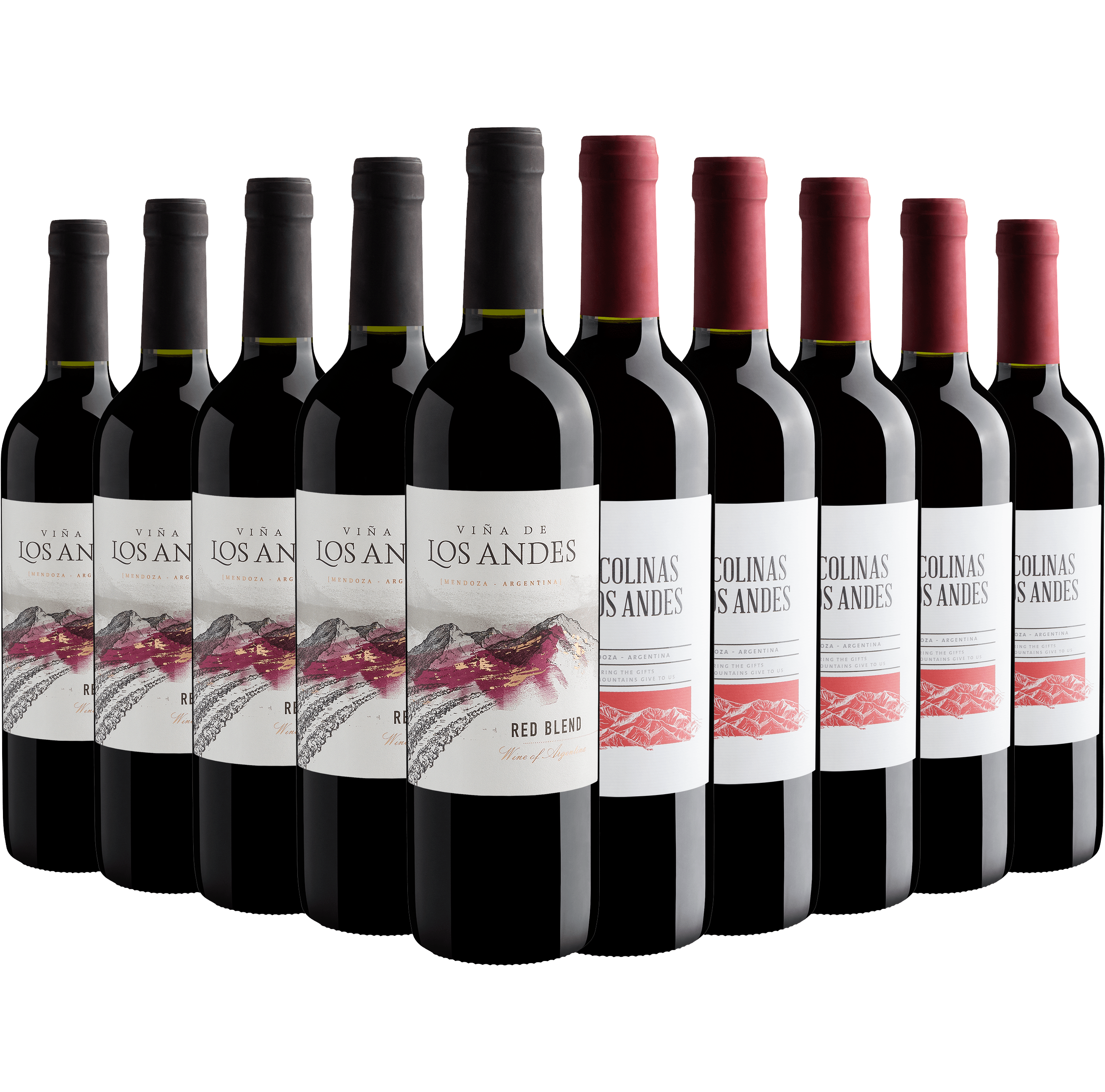Kit Red Blends | 5 Viña de Los Andes + 5 Las Colinas De Los Andes 