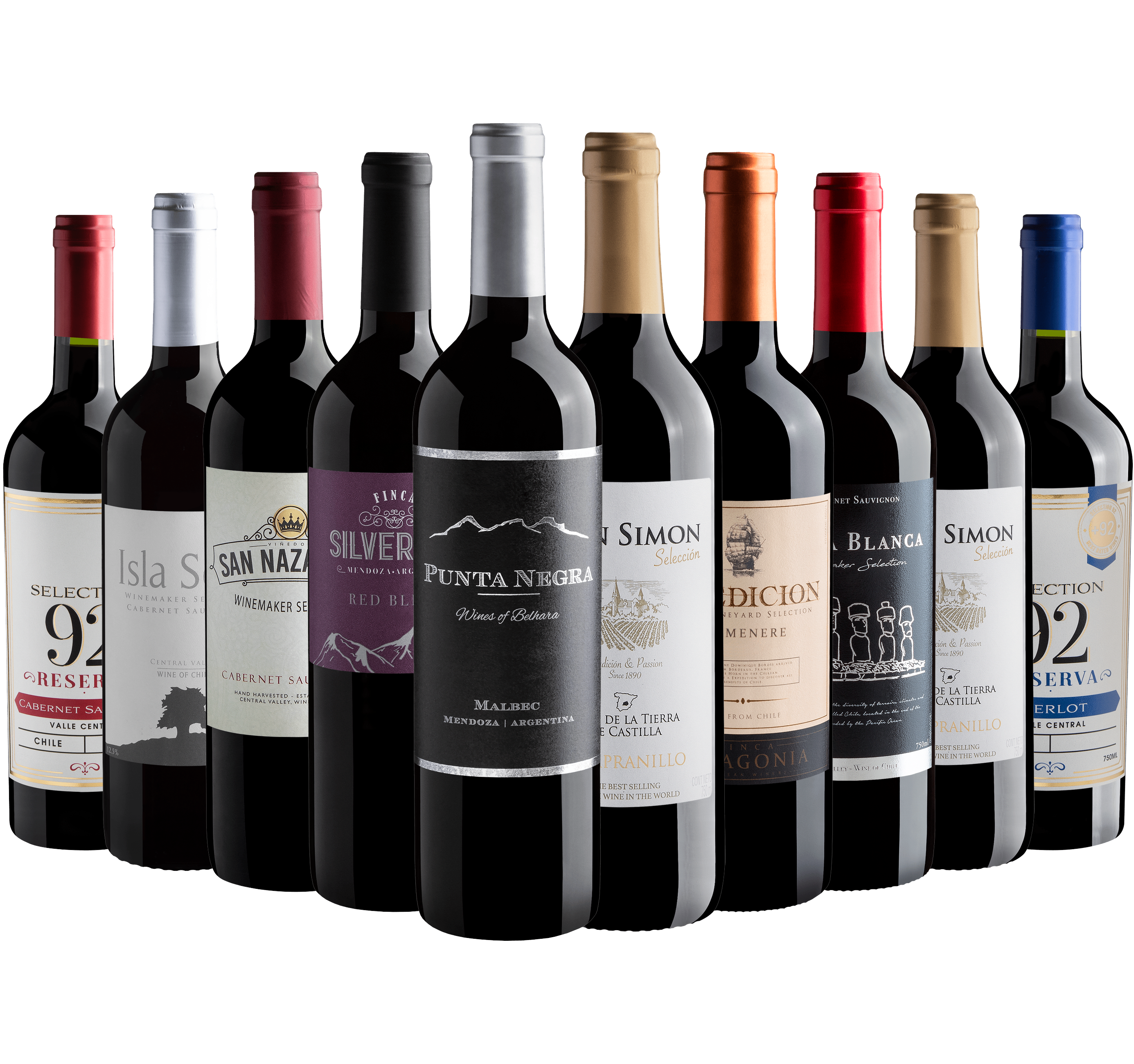 Kit 10 Vinhos Tintos com Punta Negra Wines of Belhara Malbec