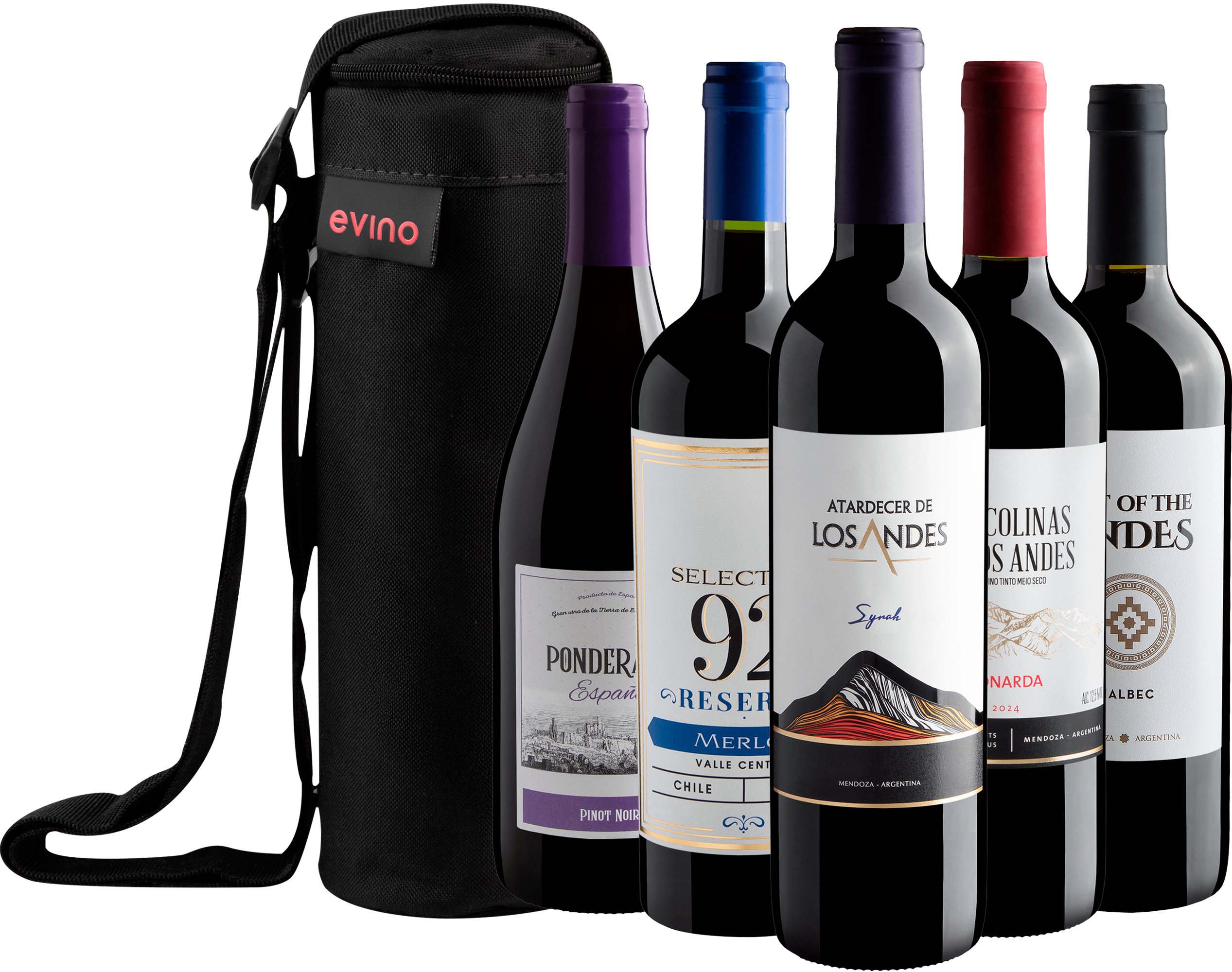 Kit 5 Vinhos Uvas Emblemáticas + Bolsa Exclusiva