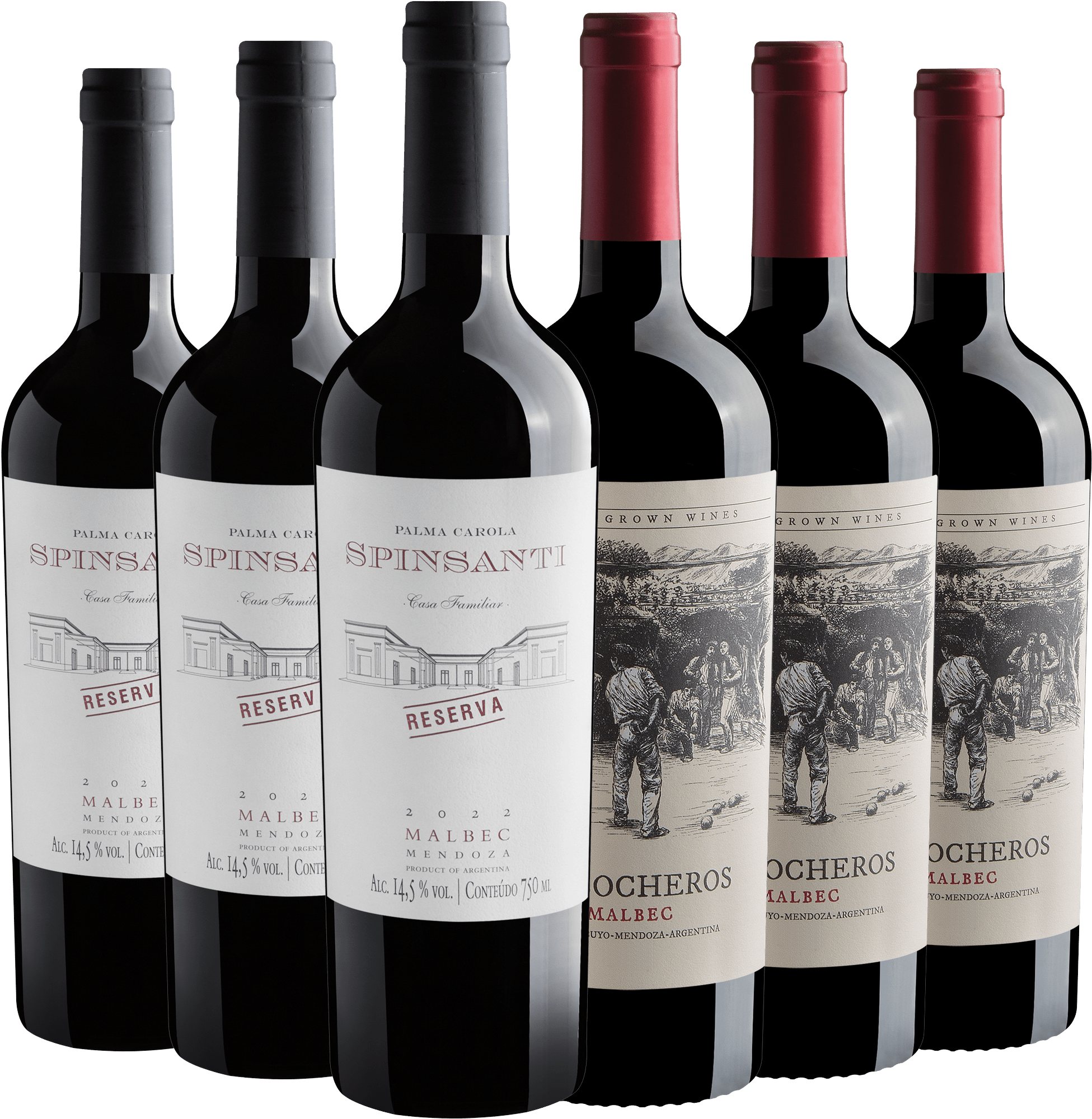 Kit Malbec | 3 Palma Carola Spinsanti Reserva + 3 Los Bocheros