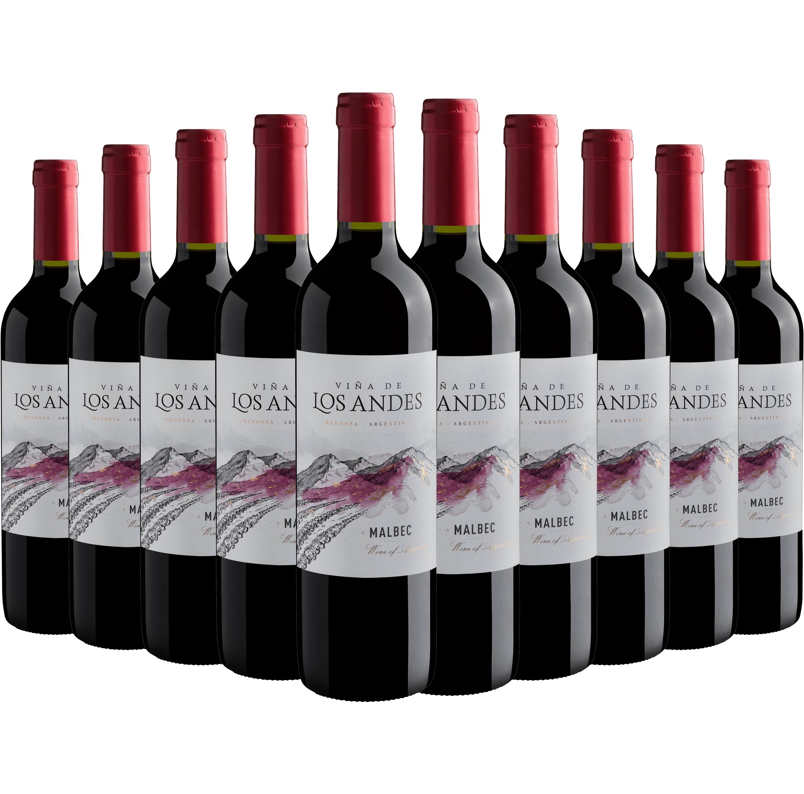 Kit 10 Viña de Los Andes Malbec