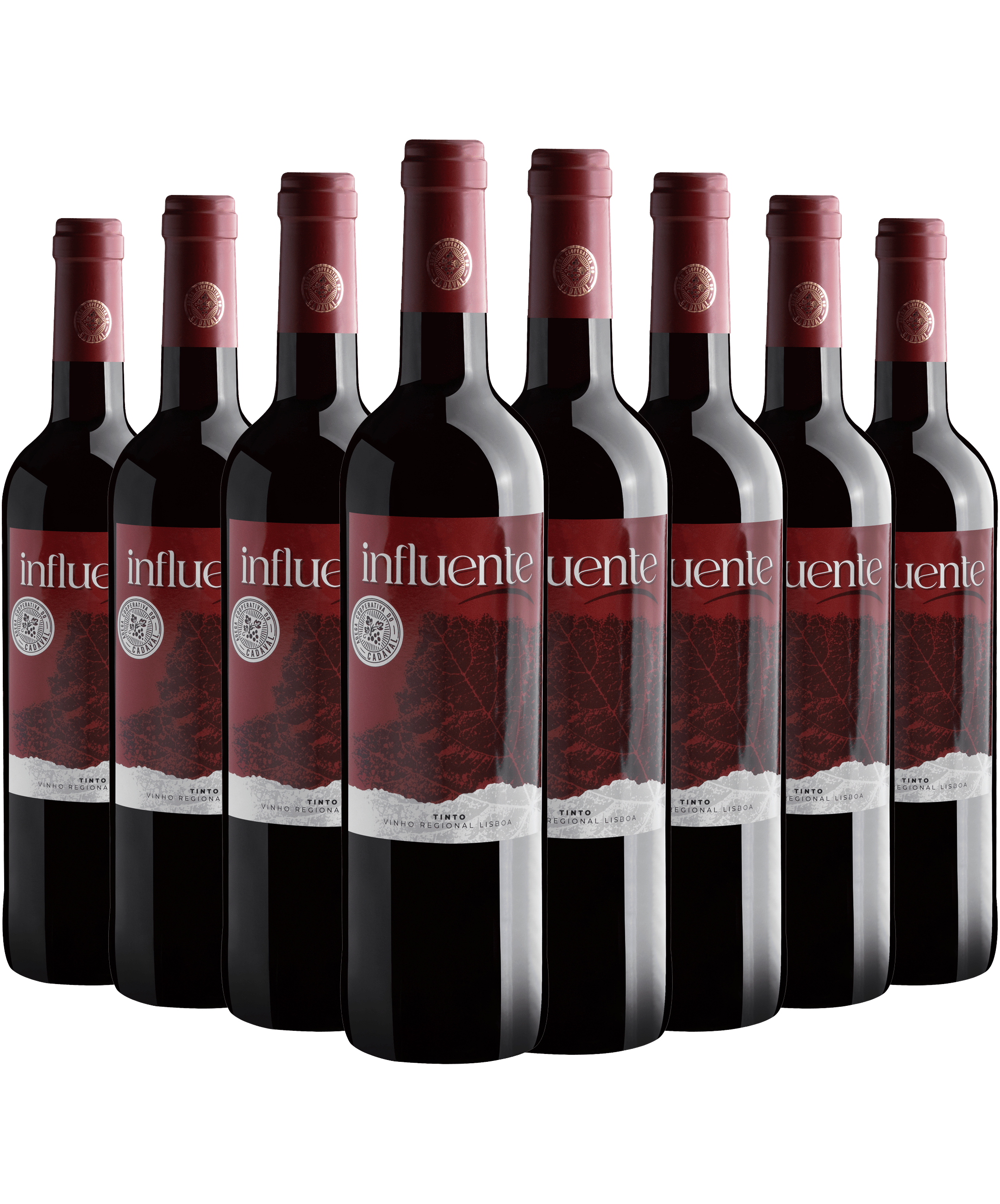 Kit 8 Influente Tinto Vinho Regional Lisboa*