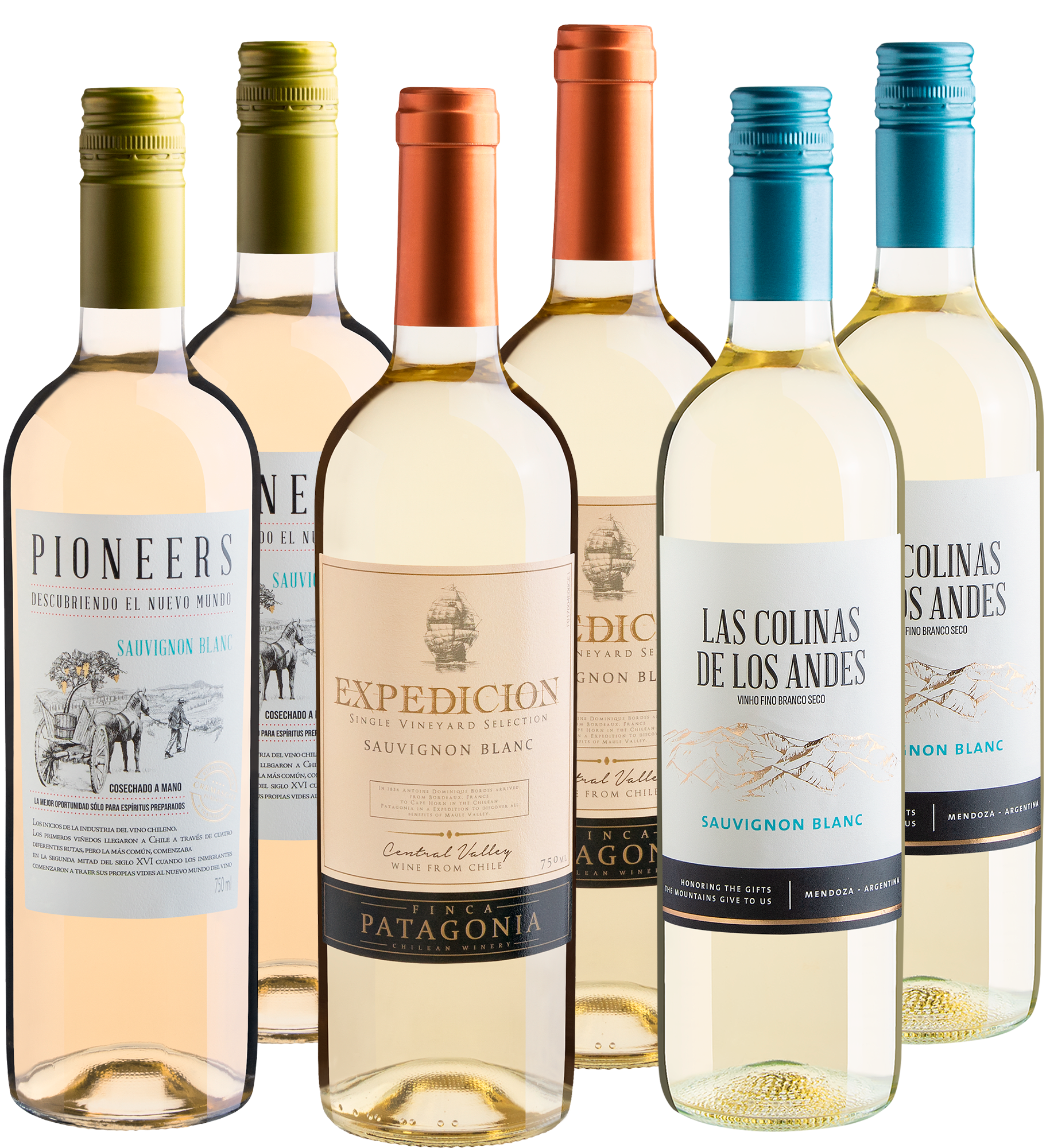 Kit Sauvignon Blanc em Dobro | 6 garrafas