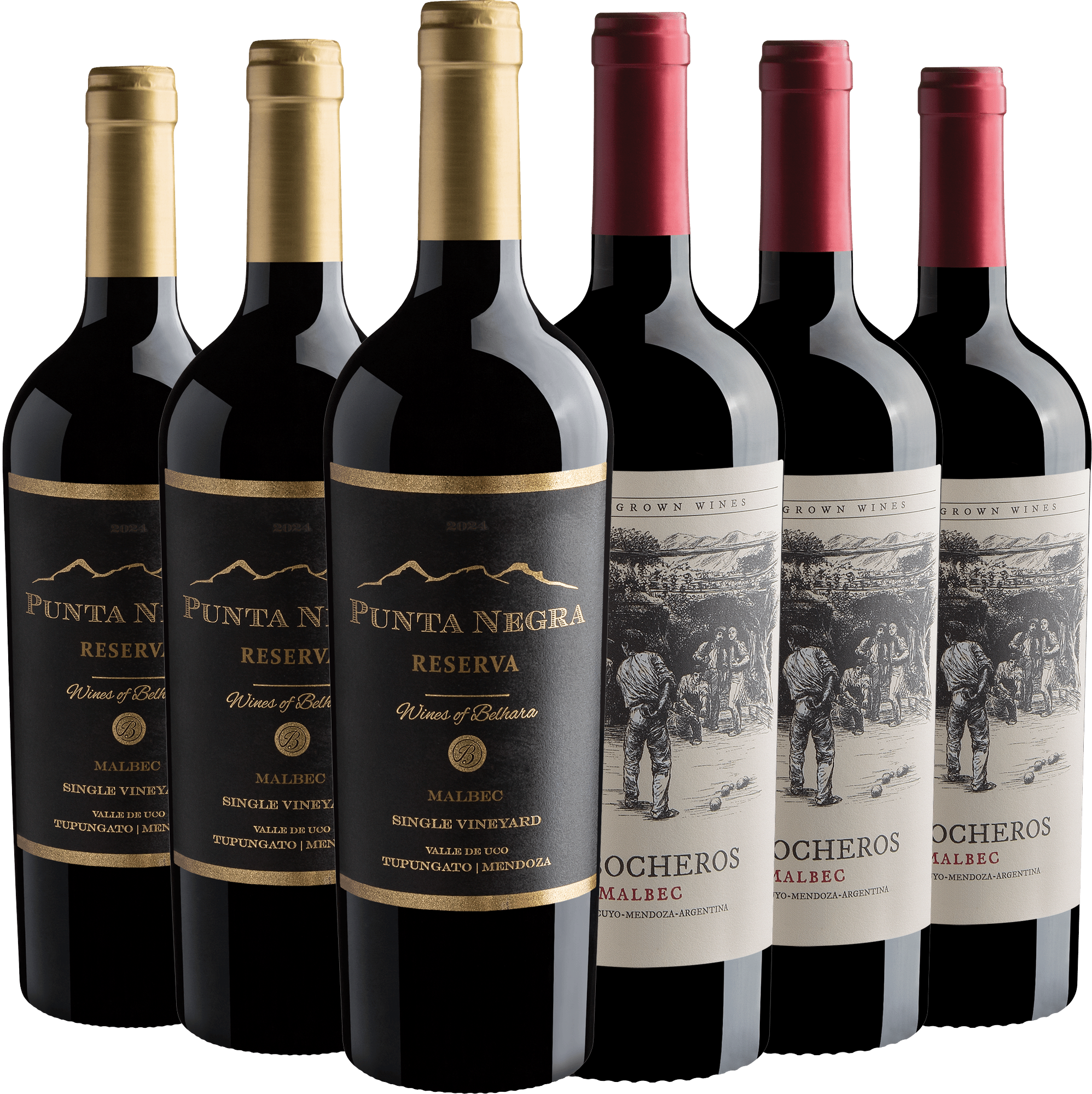 Kit Malbec | 3 Punta Negra Reserva + 3 Los Bocheros