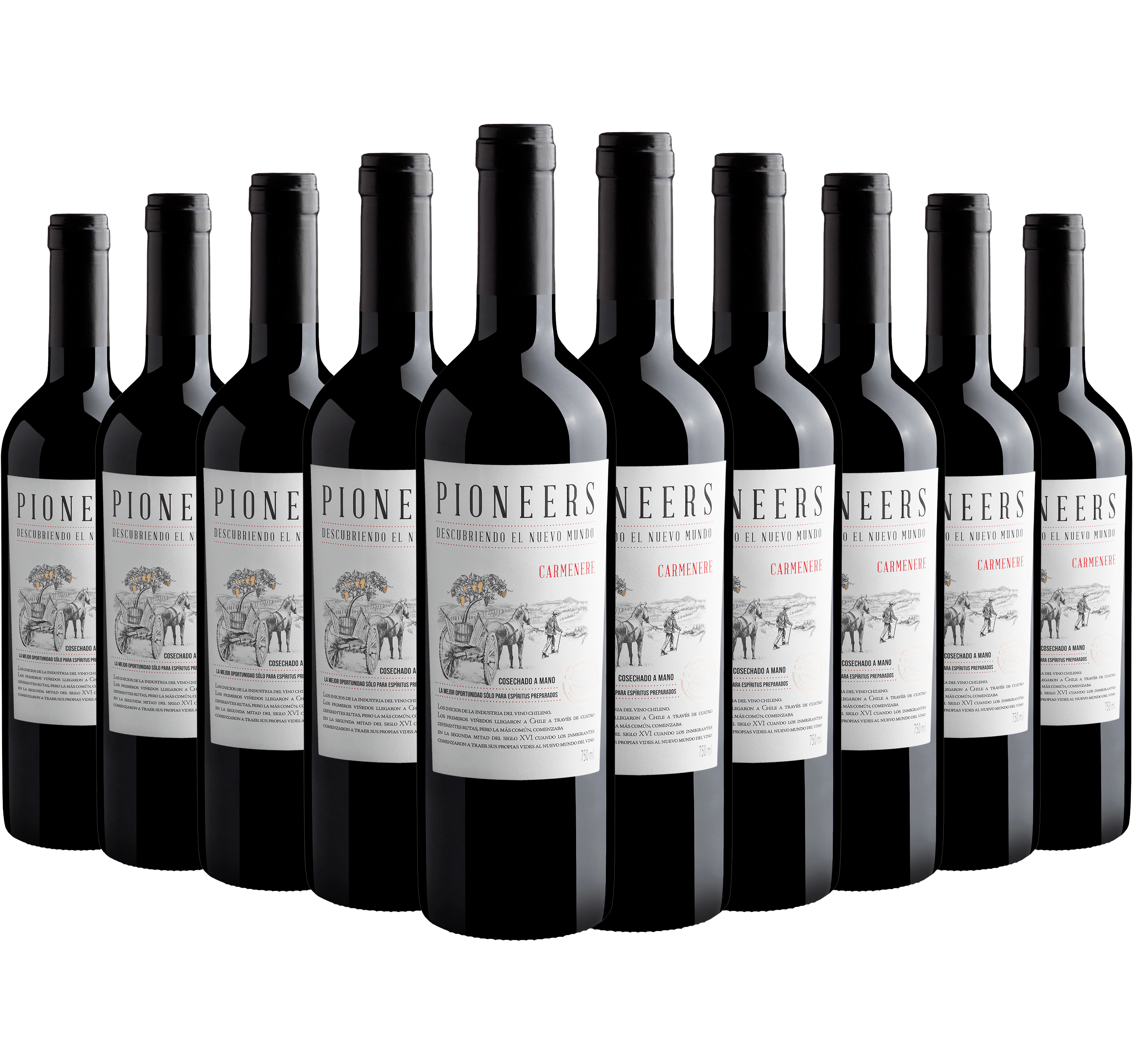 Kit 10 Pioneers Carménère*