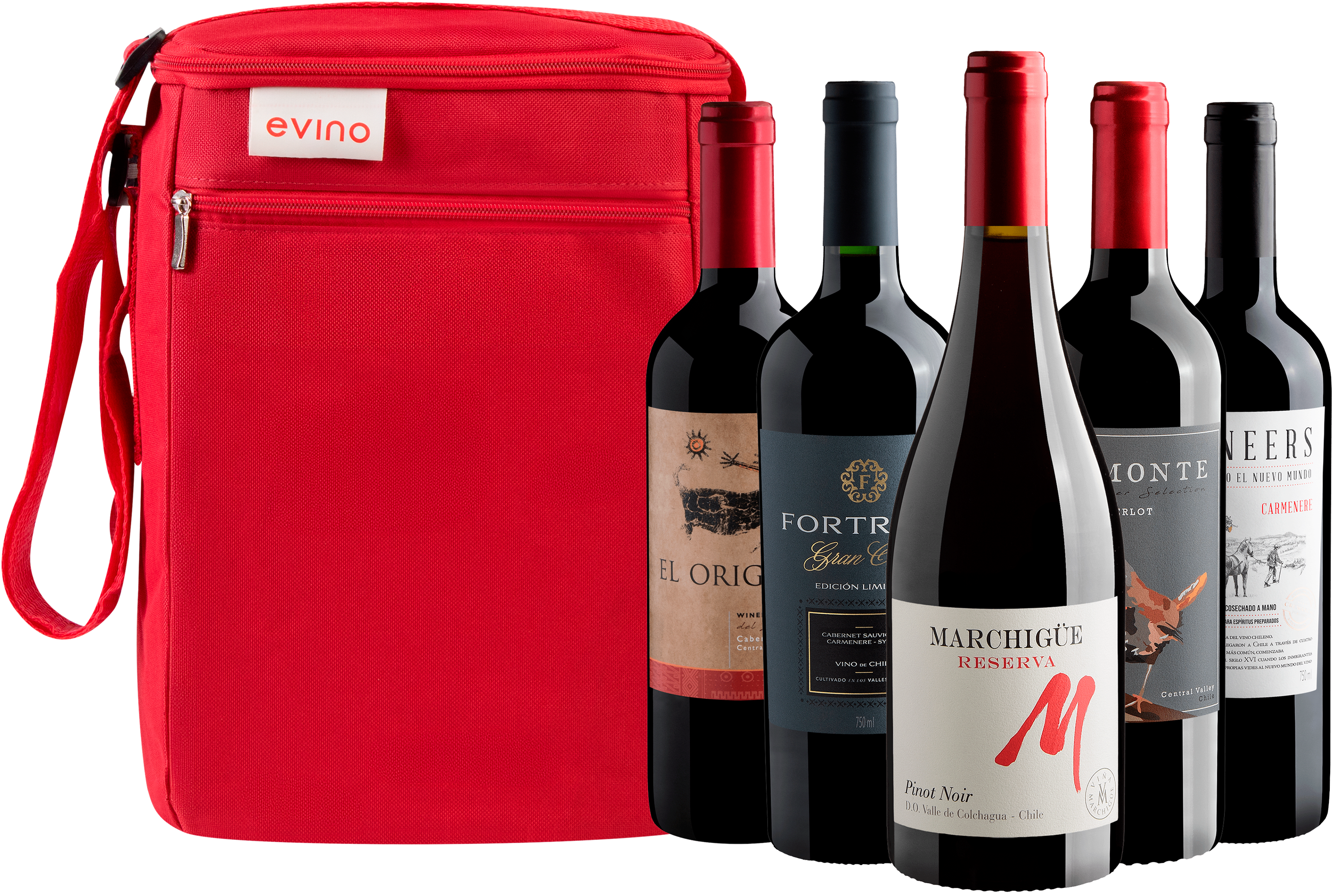 Kit 5 Vinhos Chilenos + Bolsa Exclusiva