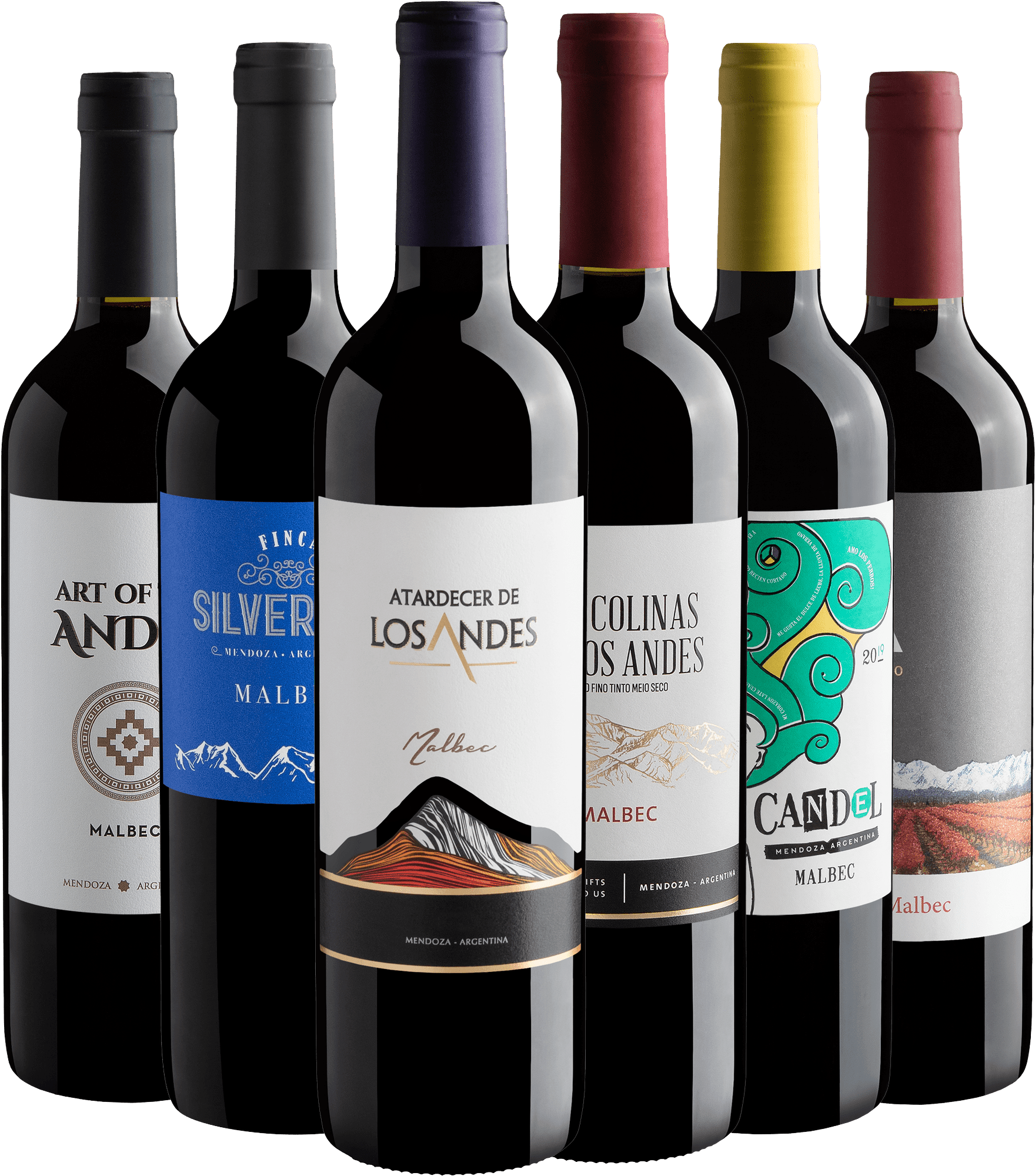 Kit 6 Malbecs Argentinos