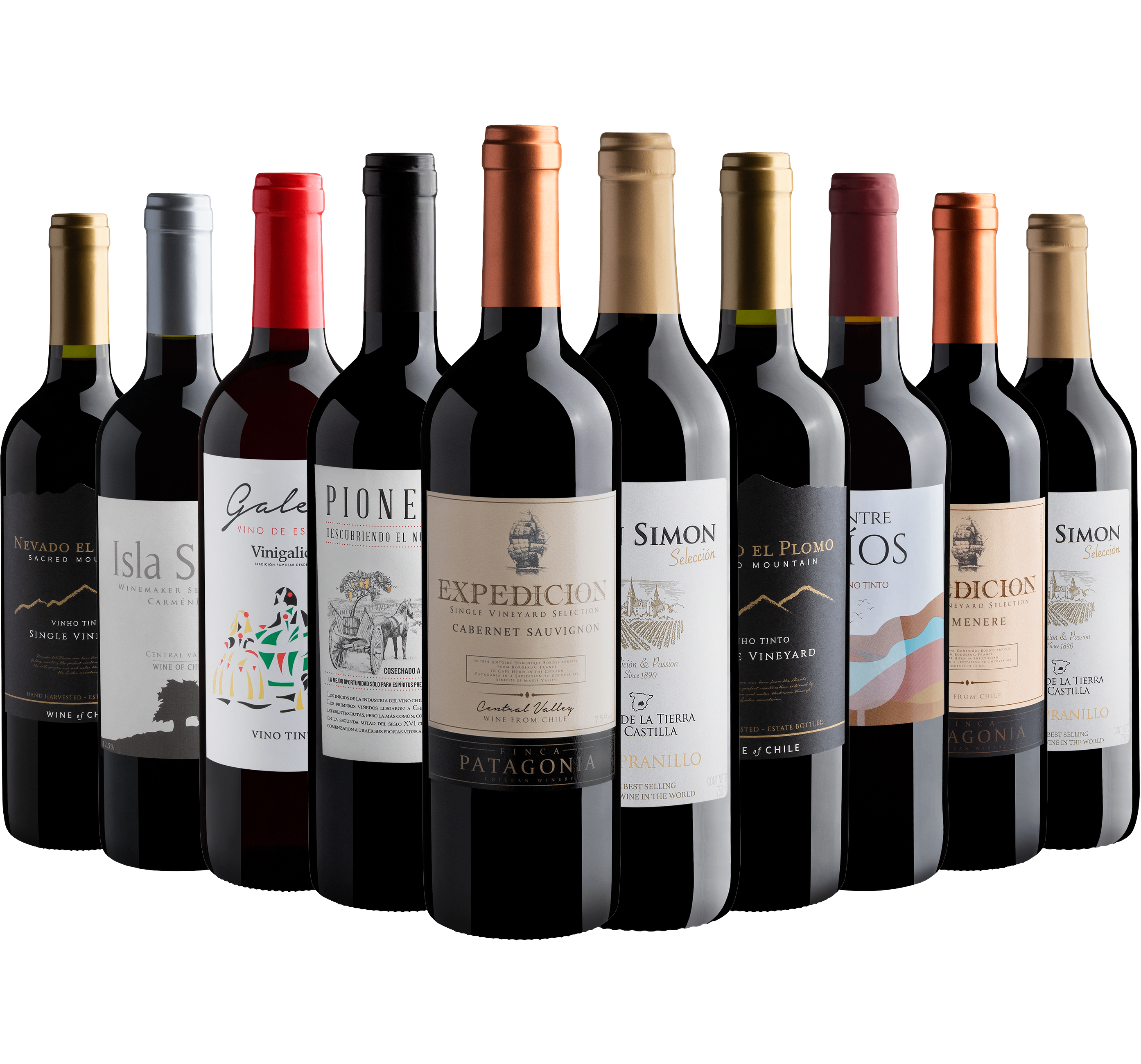 Kit 10 Vinhos Tintos*