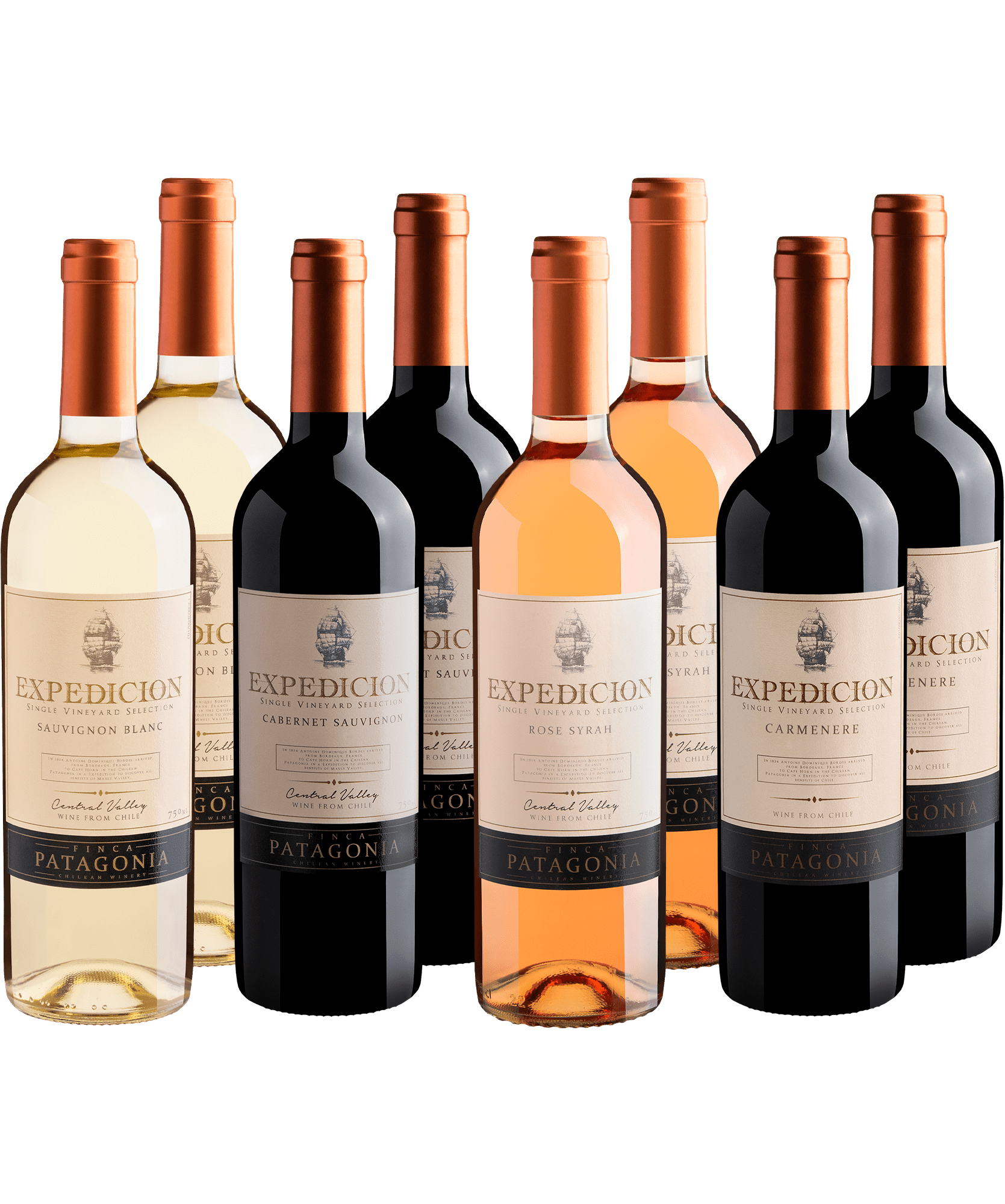 Kit Expedicion: 2 Cabernet Sauvignon + 2 Carménère + 2 Syrah Rosé + 2 Sauvignon 