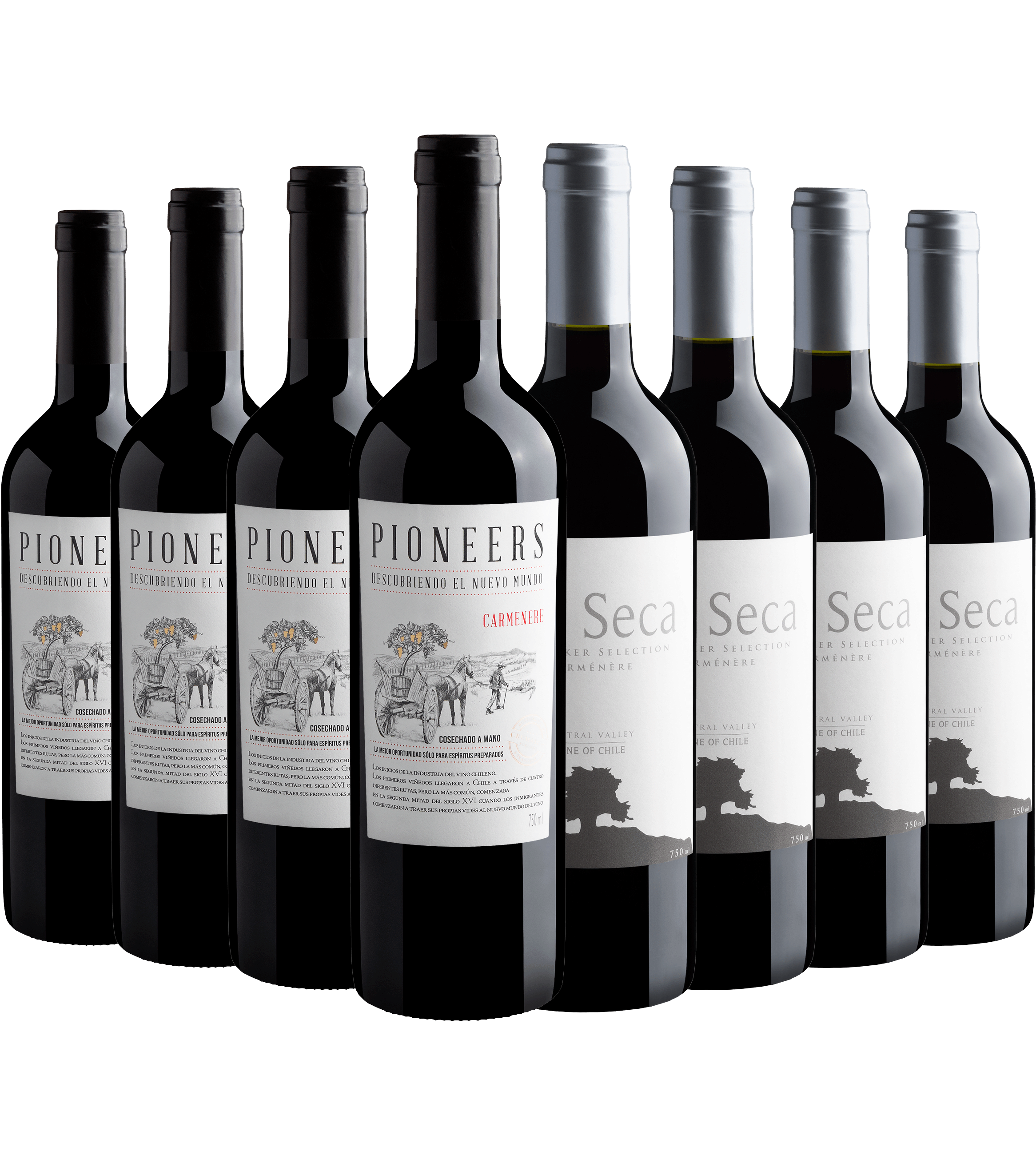 Kit Carménère | 4 Pioneers + 4 Isla Seca Winemaker
