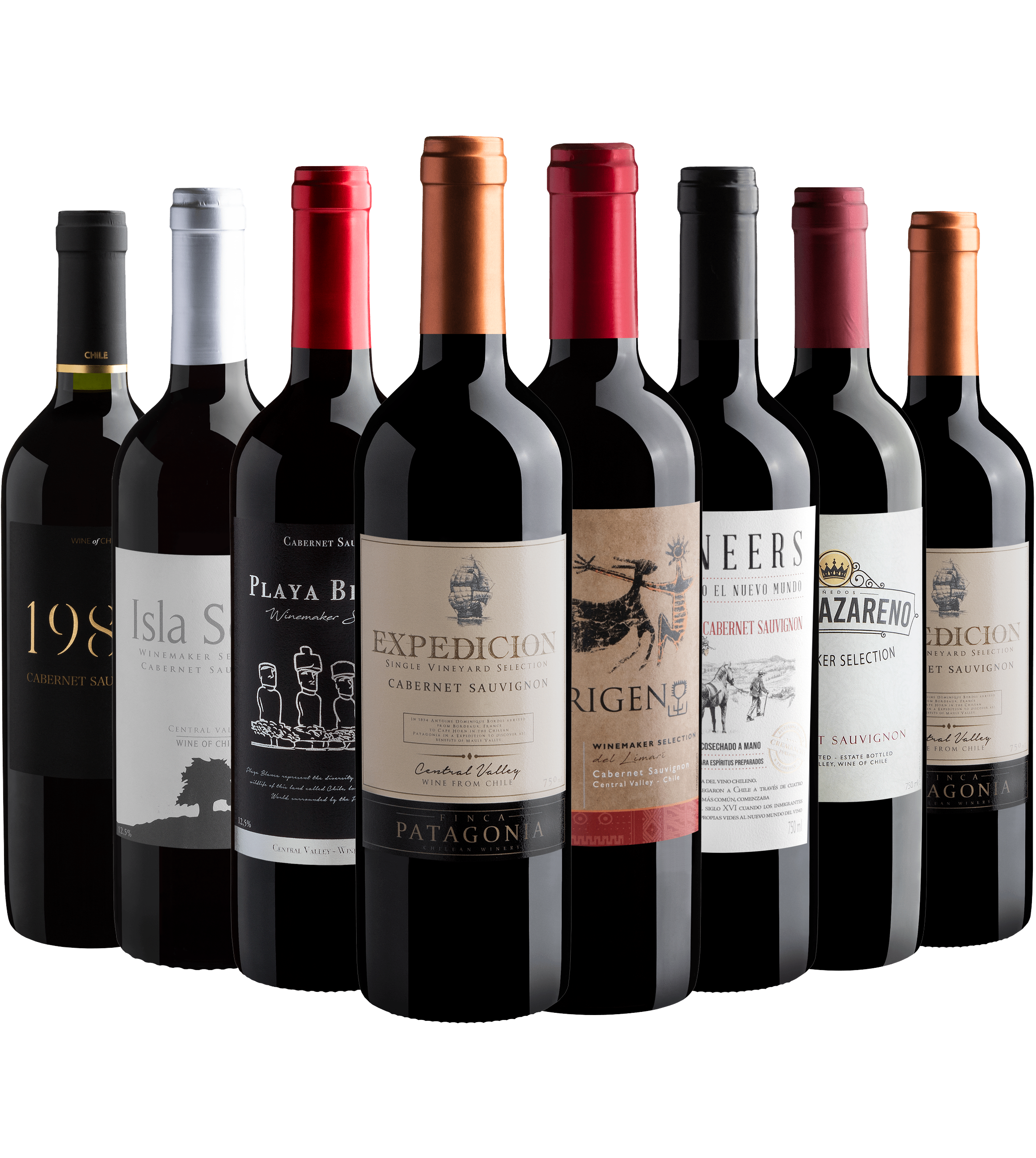 Kit 8 Cabernets Sauvignons*